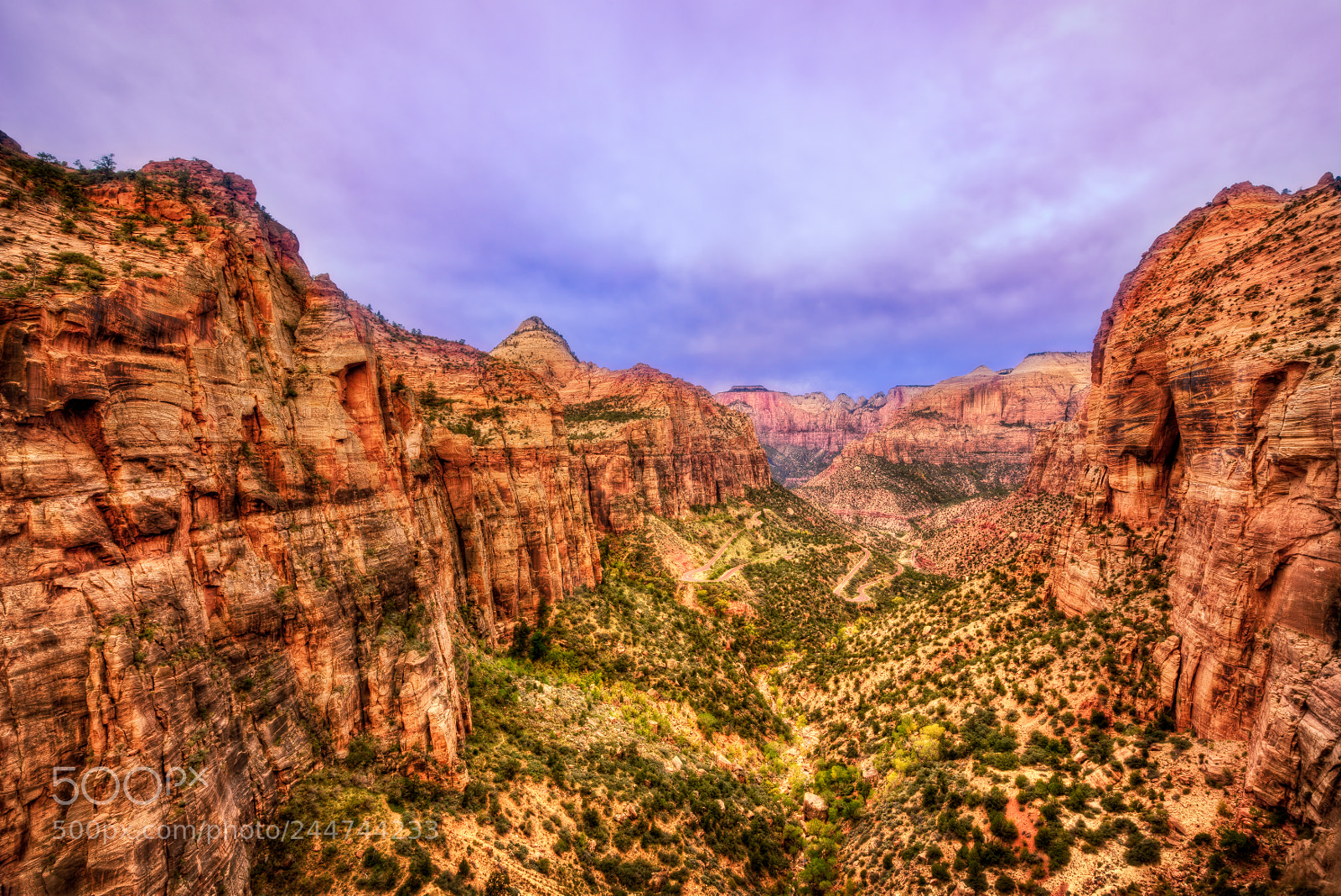 Nikon D810 sample photo. Zion national park photography