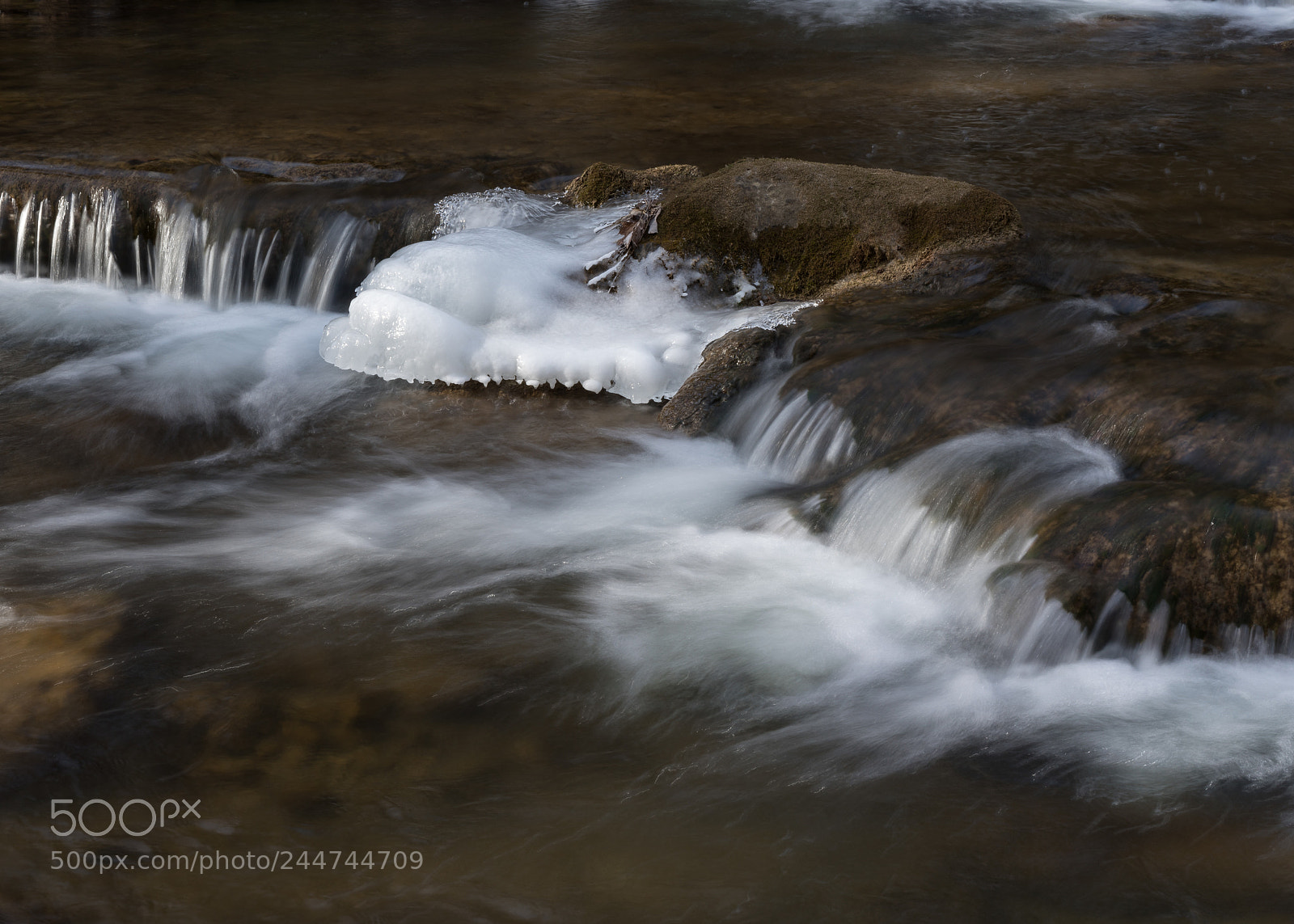 Sony a7R III sample photo. Warriors pathe creek photography