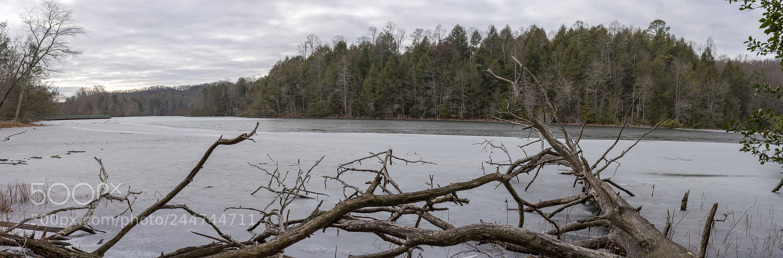 Sony a7R III sample photo. Bays mountain photography