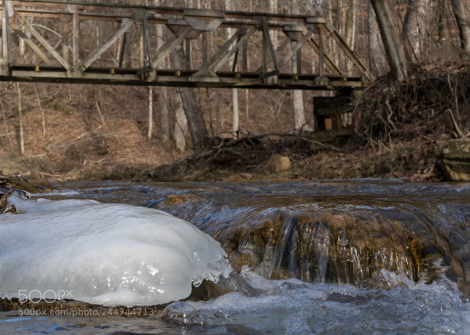 Sony a7R III sample photo. Warriors path bridge photography