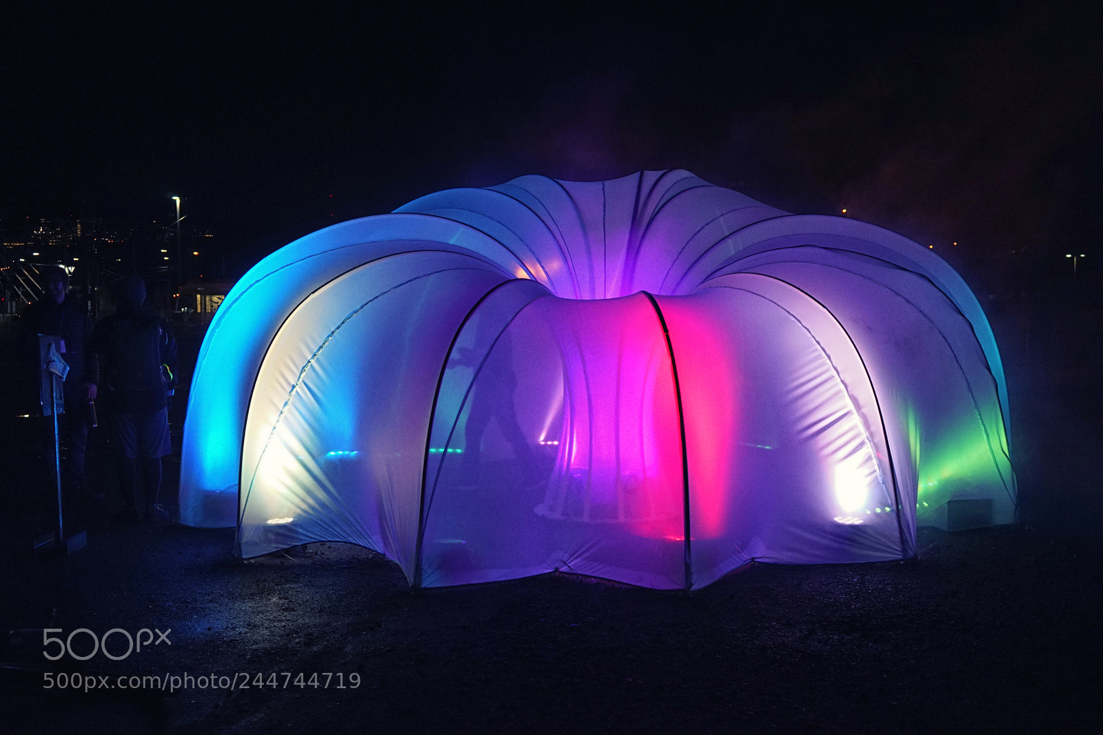 Sony a7 sample photo. Actias luna photography
