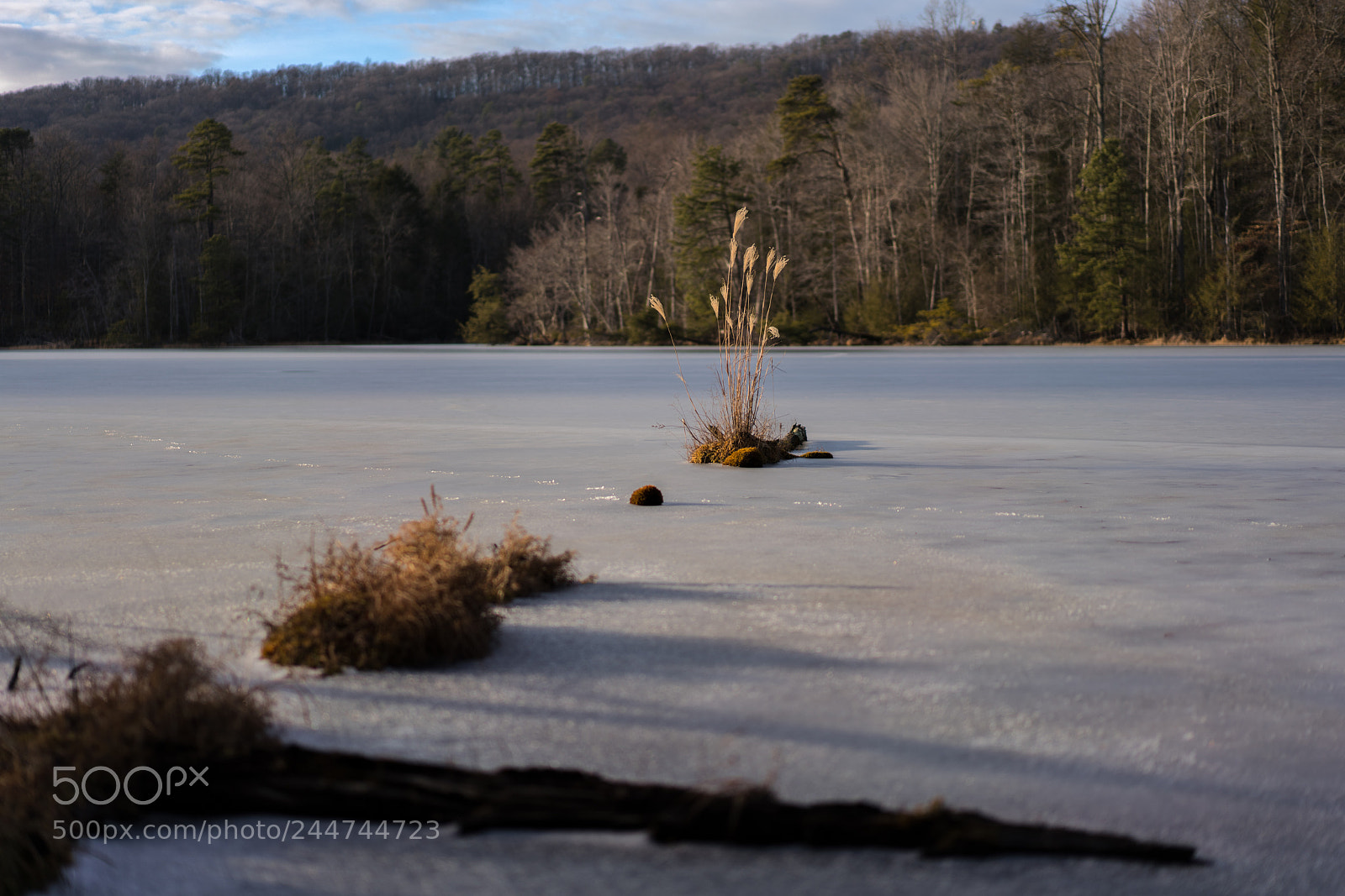 Sony a7R III sample photo. Bays mountain photography