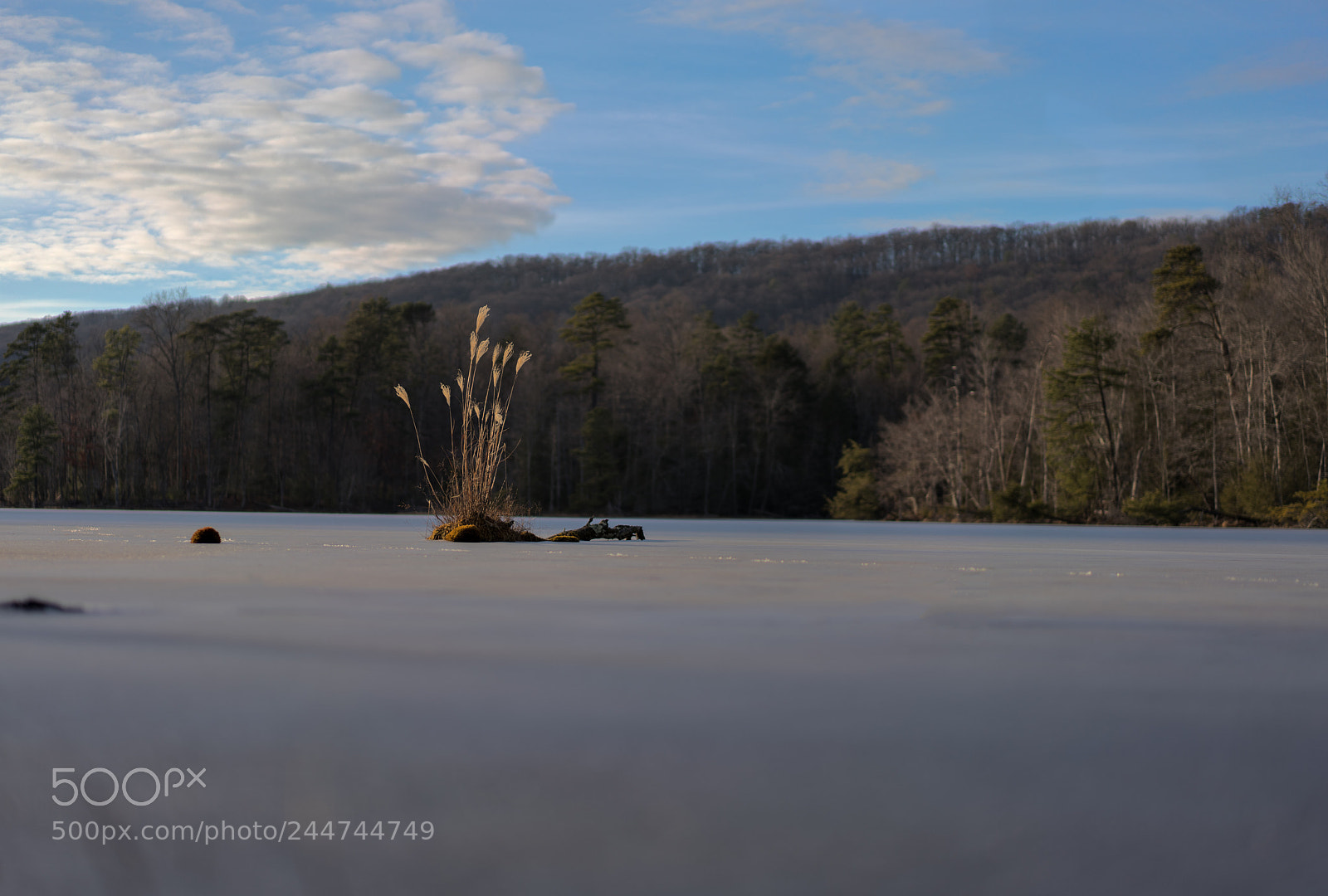 Sony a7R III sample photo. Bays mountain photography