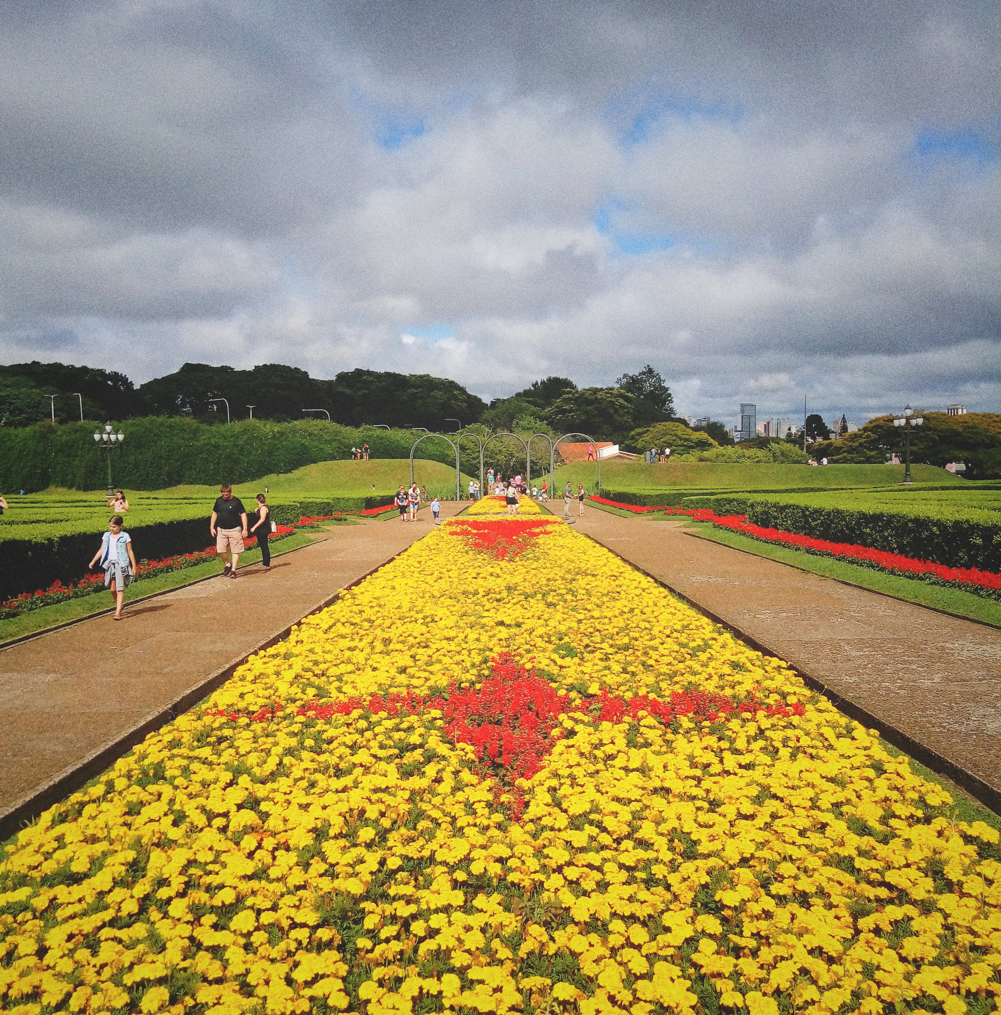 LG X POWER sample photo. Christmas flowers in the botanic garden of curitiba, brazil. photography