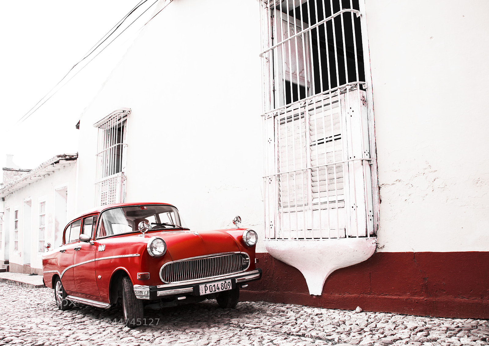 Nikon D7200 sample photo. Bright red photography