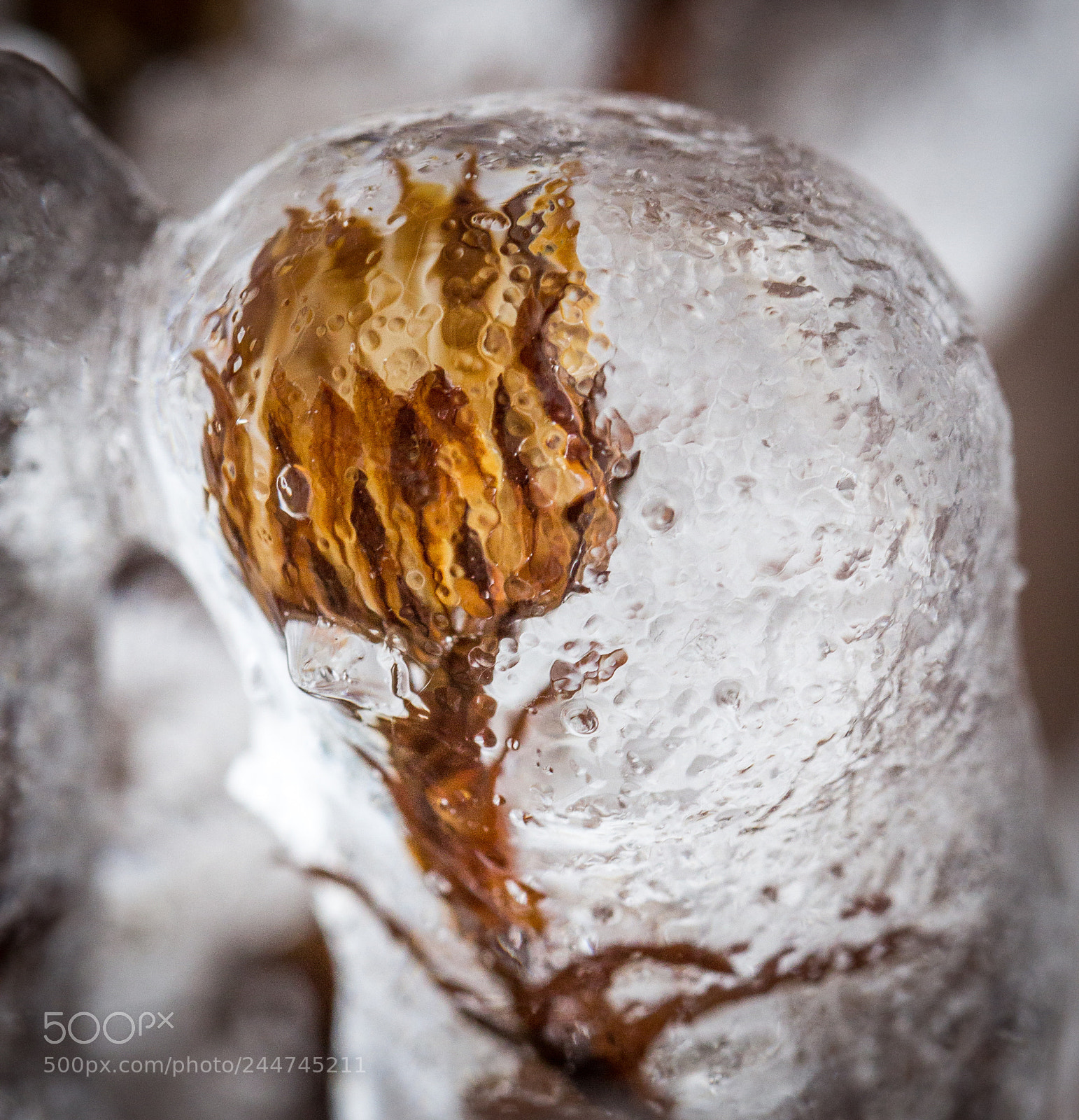 Canon EOS 60D sample photo. Frozen photography