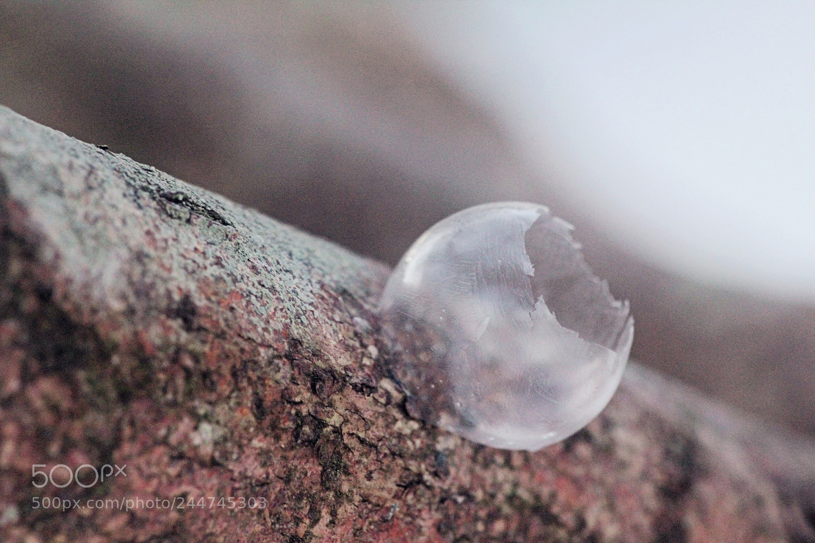 Canon EOS 550D (EOS Rebel T2i / EOS Kiss X4) sample photo. Soap bubble photography