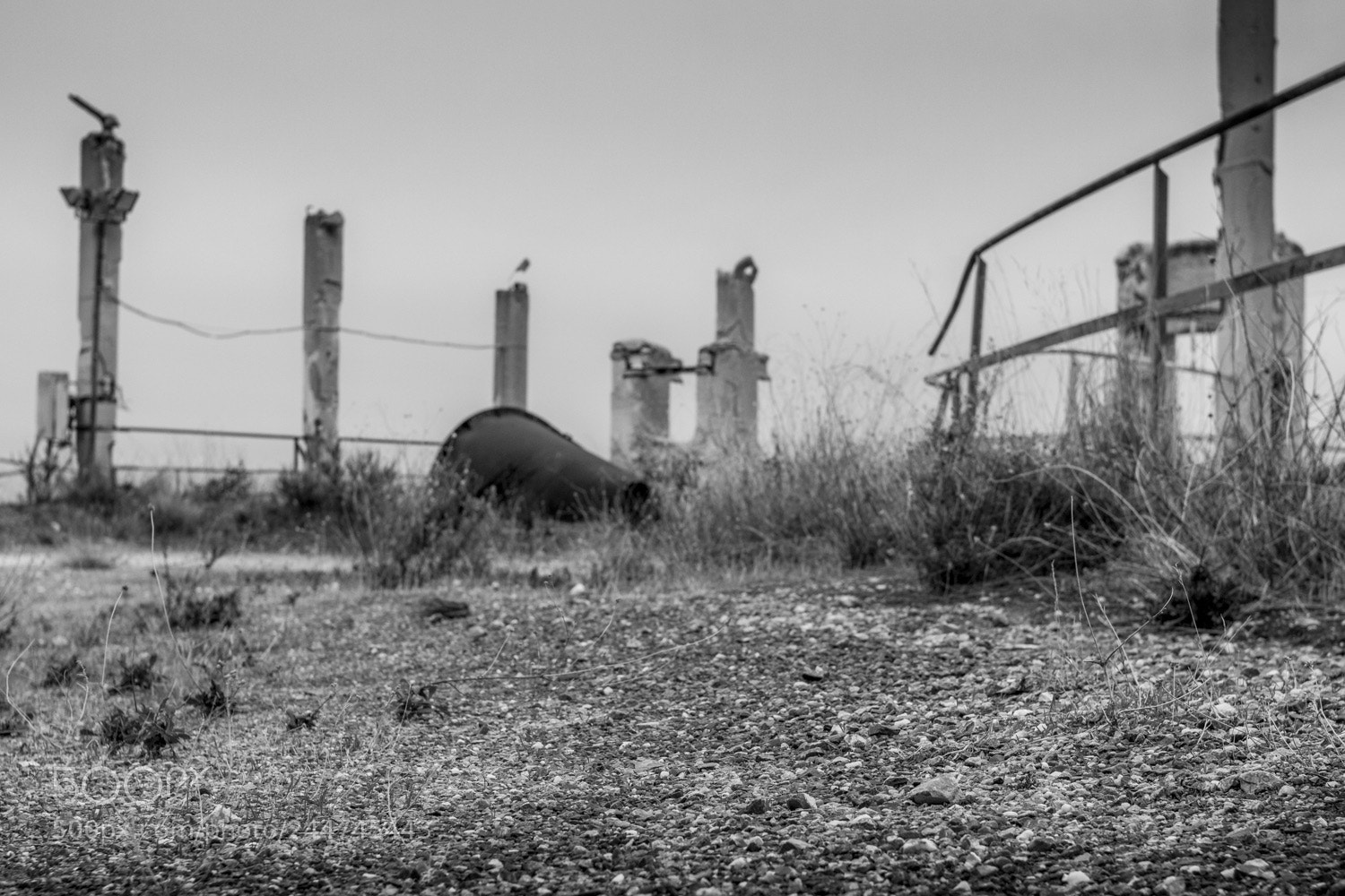 Canon EOS 750D (EOS Rebel T6i / EOS Kiss X8i) sample photo. Silent hill photography