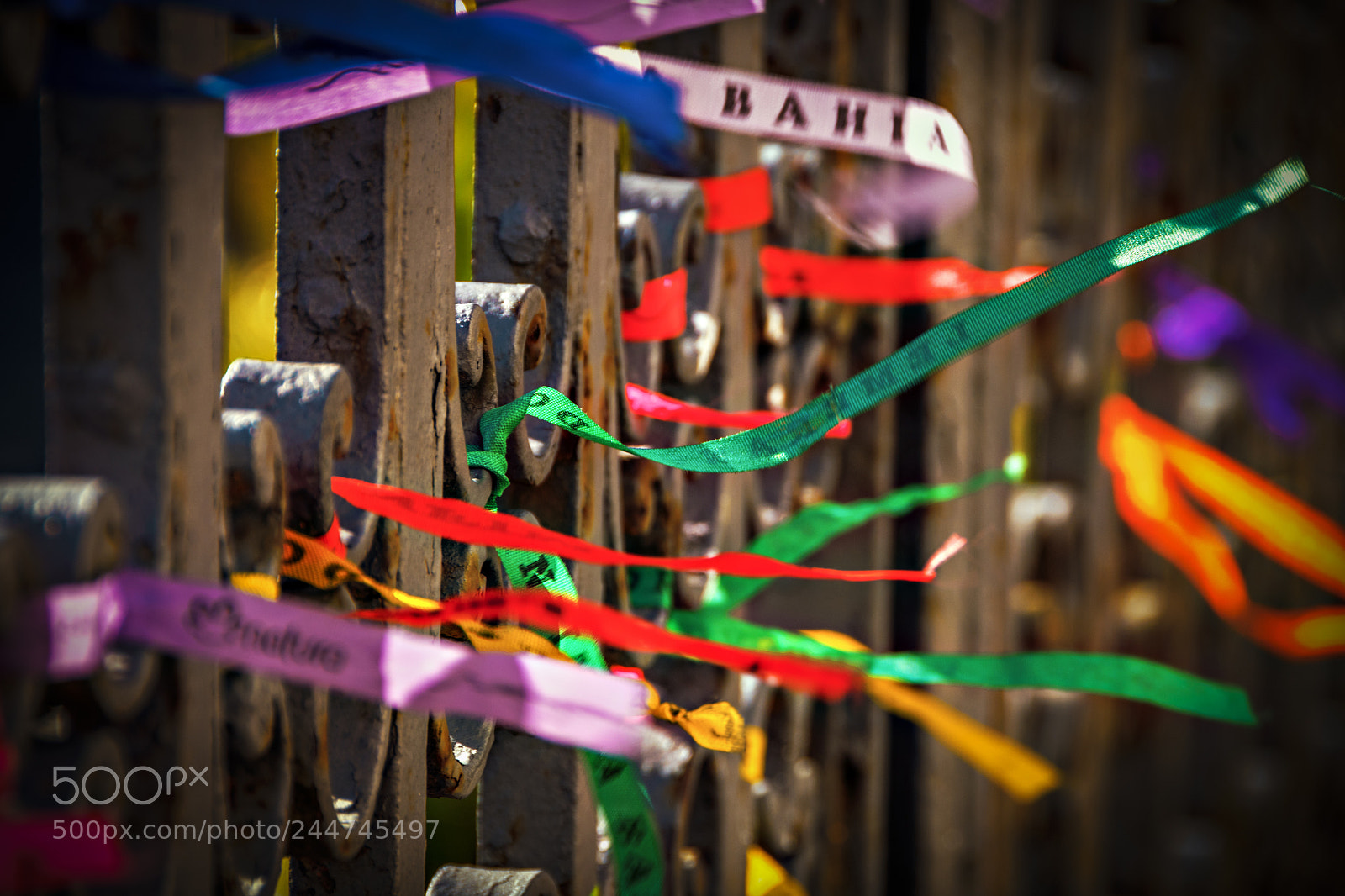 Nikon D500 sample photo. He famous ribbons of photography