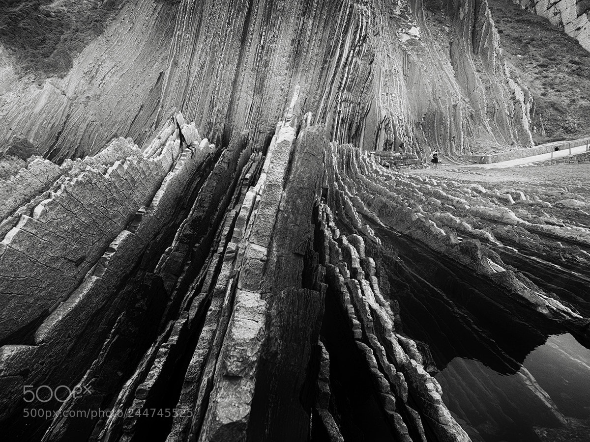 Olympus OM-D E-M5 sample photo. Flysch formation in zumaia photography