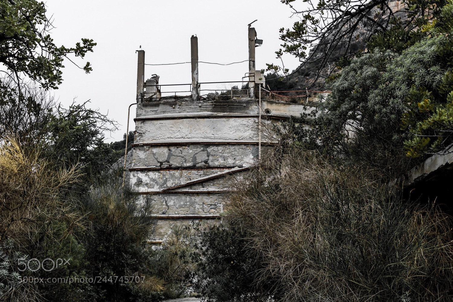 Canon EOS 750D (EOS Rebel T6i / EOS Kiss X8i) sample photo. Silent hill photography