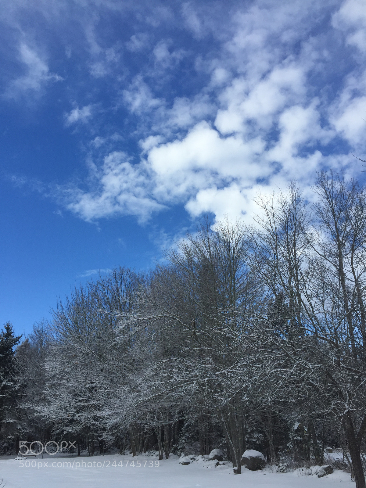 Apple iPhone 6 sample photo. Clearing after the storm photography