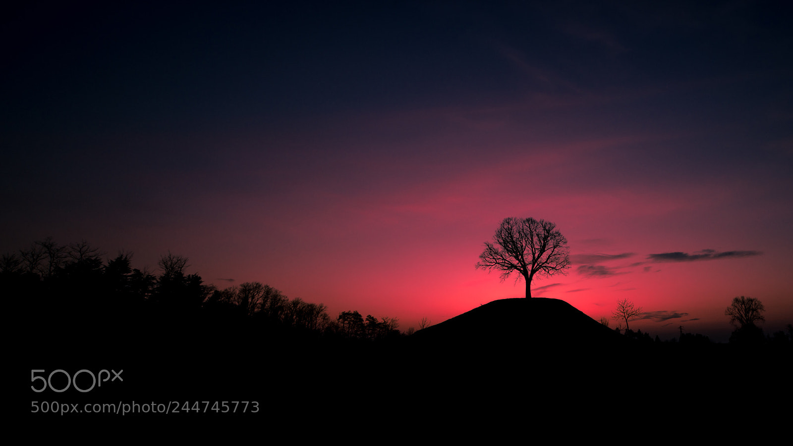 Nikon D850 sample photo. Blue hour photography