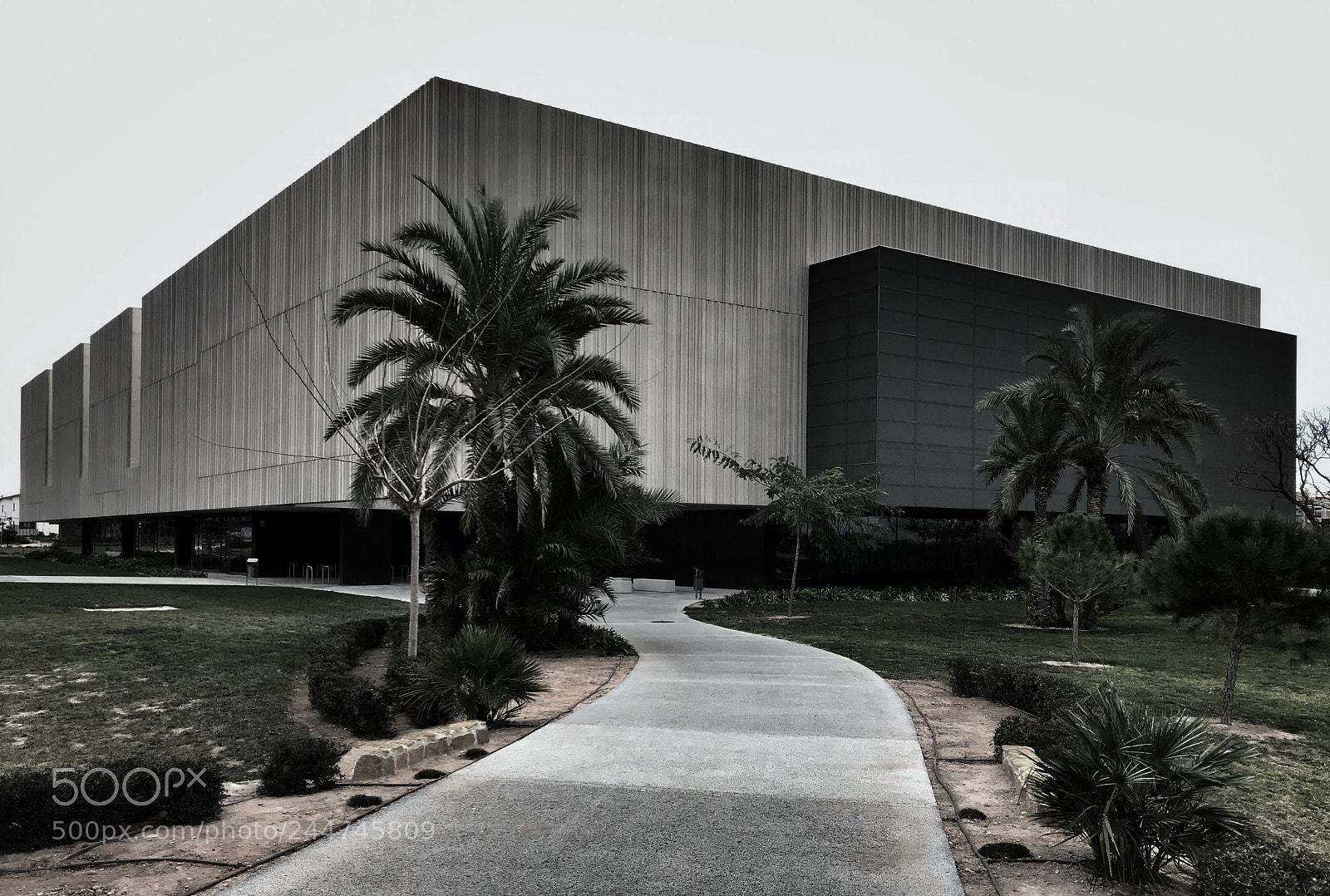 Apple iPhone 7 Plus sample photo. Edificio arenales umh elche photography
