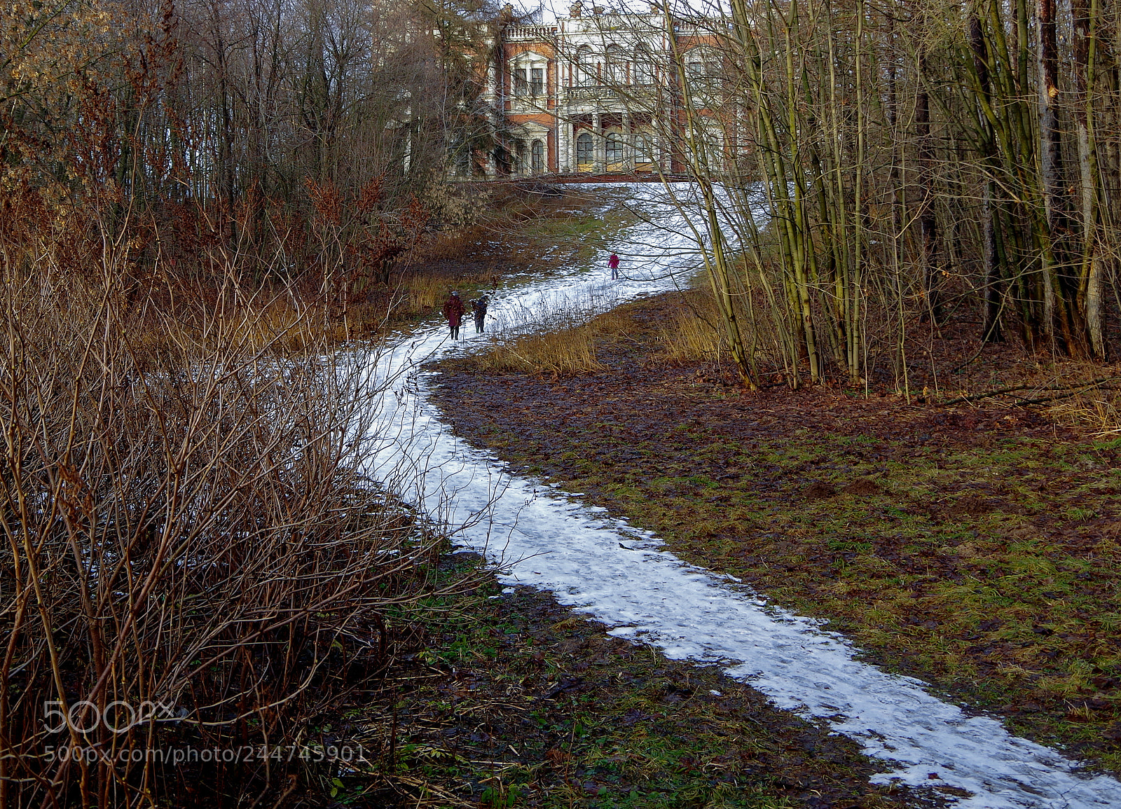 Pentax K-30 sample photo. Snow trail photography