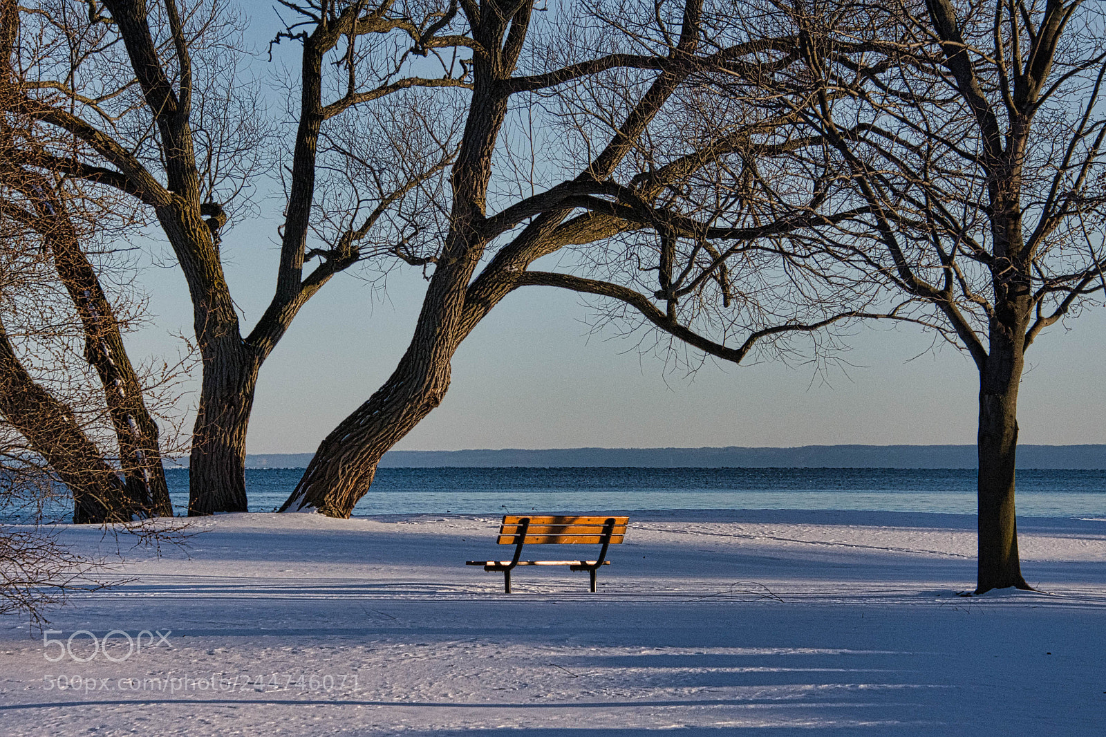 Nikon D7200 sample photo. Winter bench - golden photography