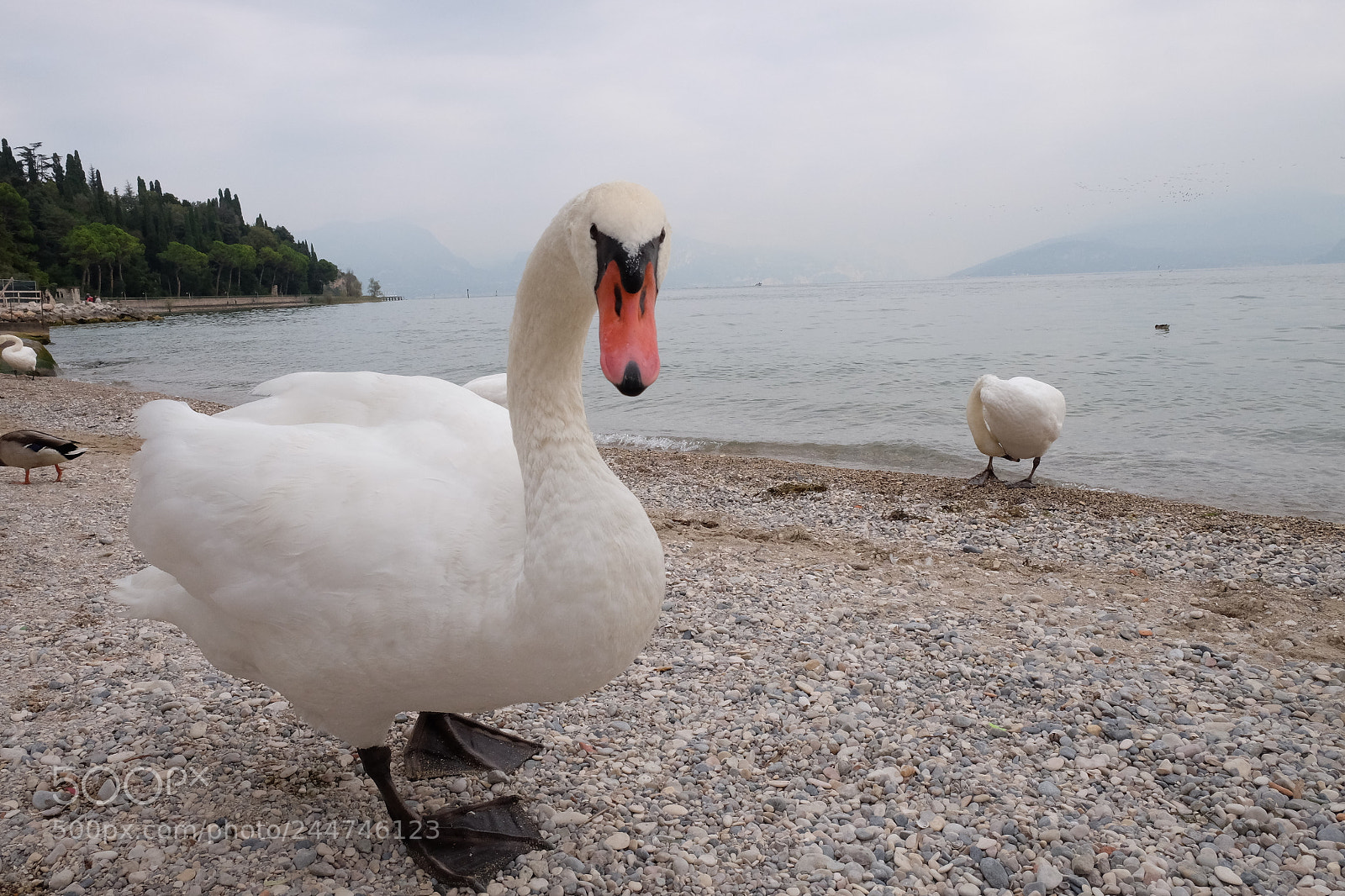 Fujifilm X-T10 sample photo. I see you photography
