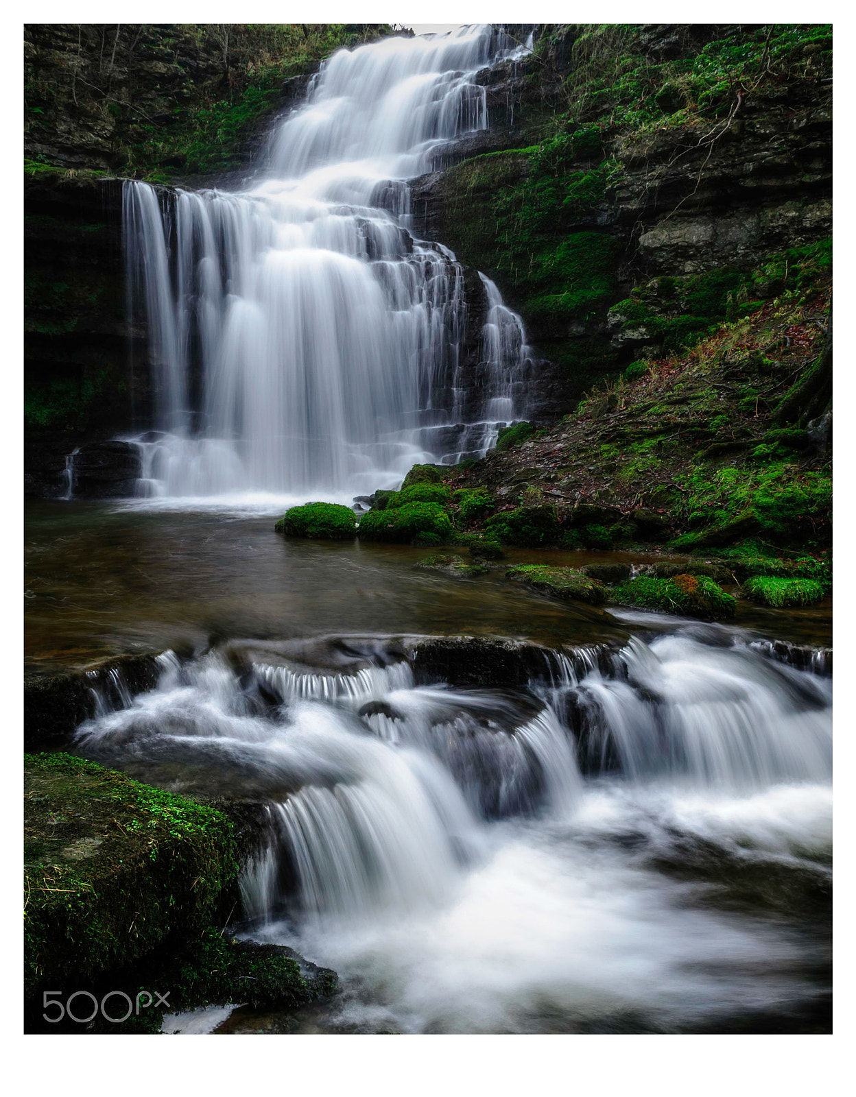 Nikon D700 sample photo. Scalebar force photography
