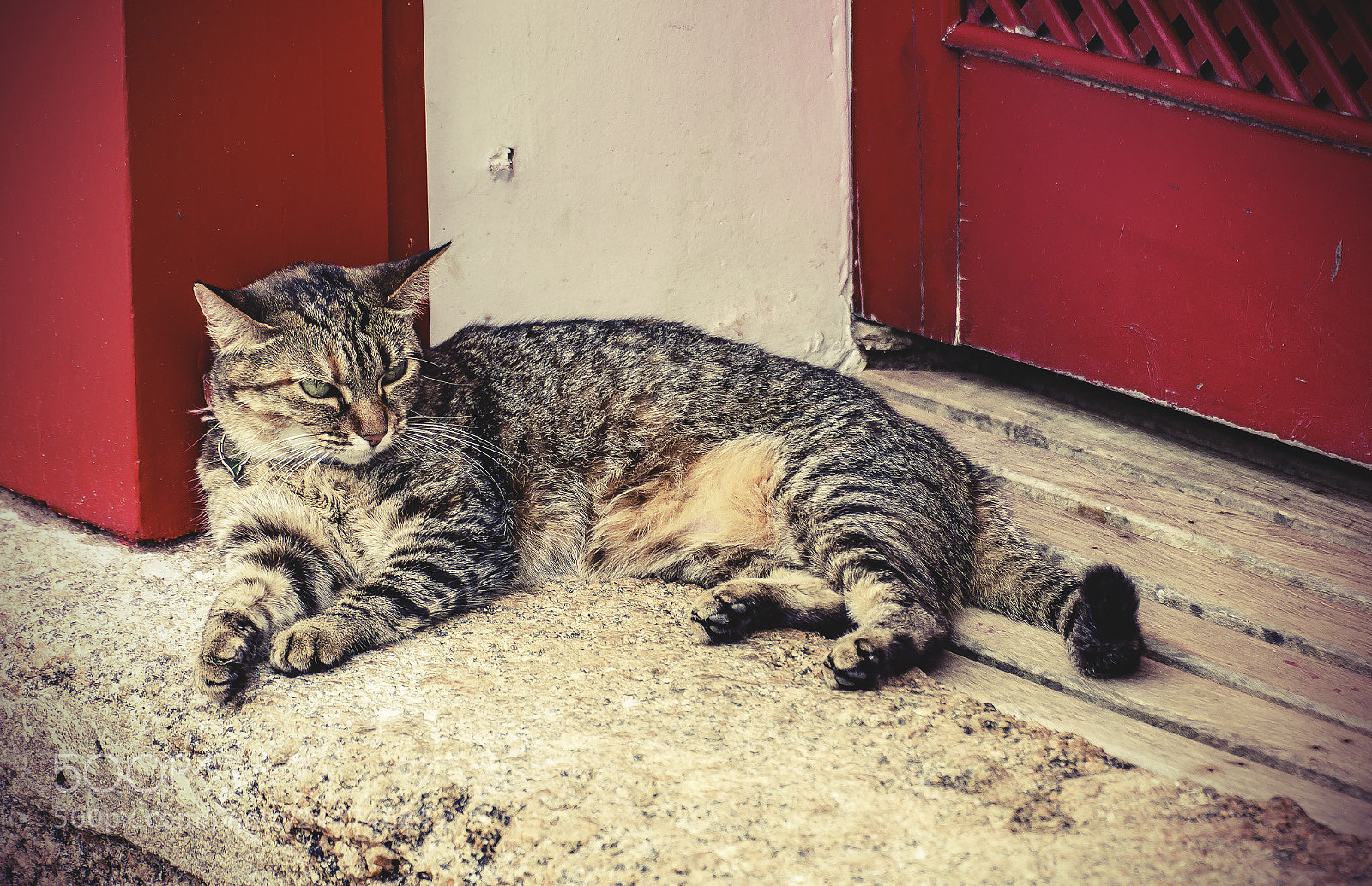 Nikon D7200 sample photo. Bad mood. photography