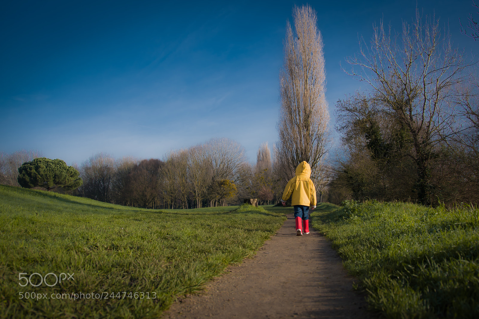 Nikon D7500 sample photo. Walking kid photography