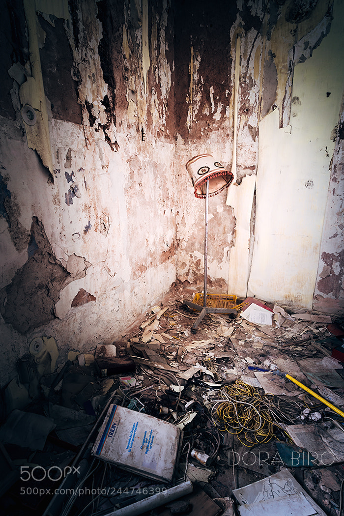 Canon EOS 650D (EOS Rebel T4i / EOS Kiss X6i) sample photo. Abandoned house somewhere in photography