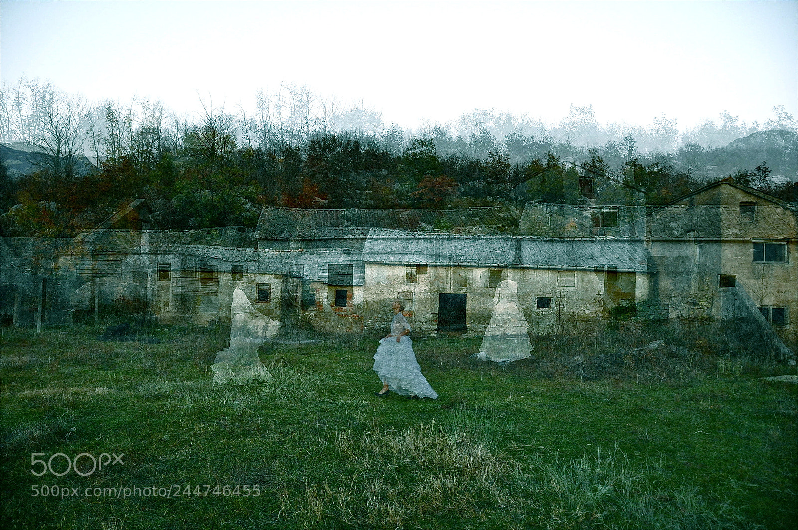 Nikon D300 sample photo. We seek a harmony photography