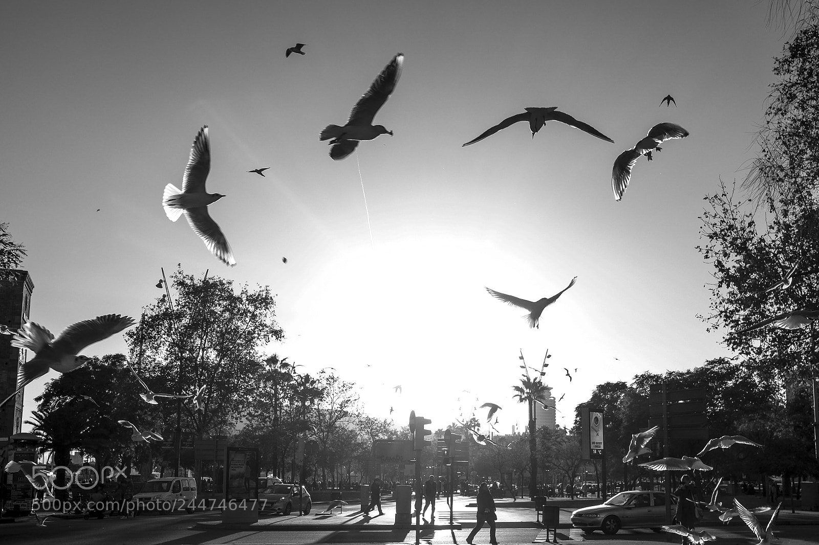 Fujifilm X-T10 sample photo. Fly around photography