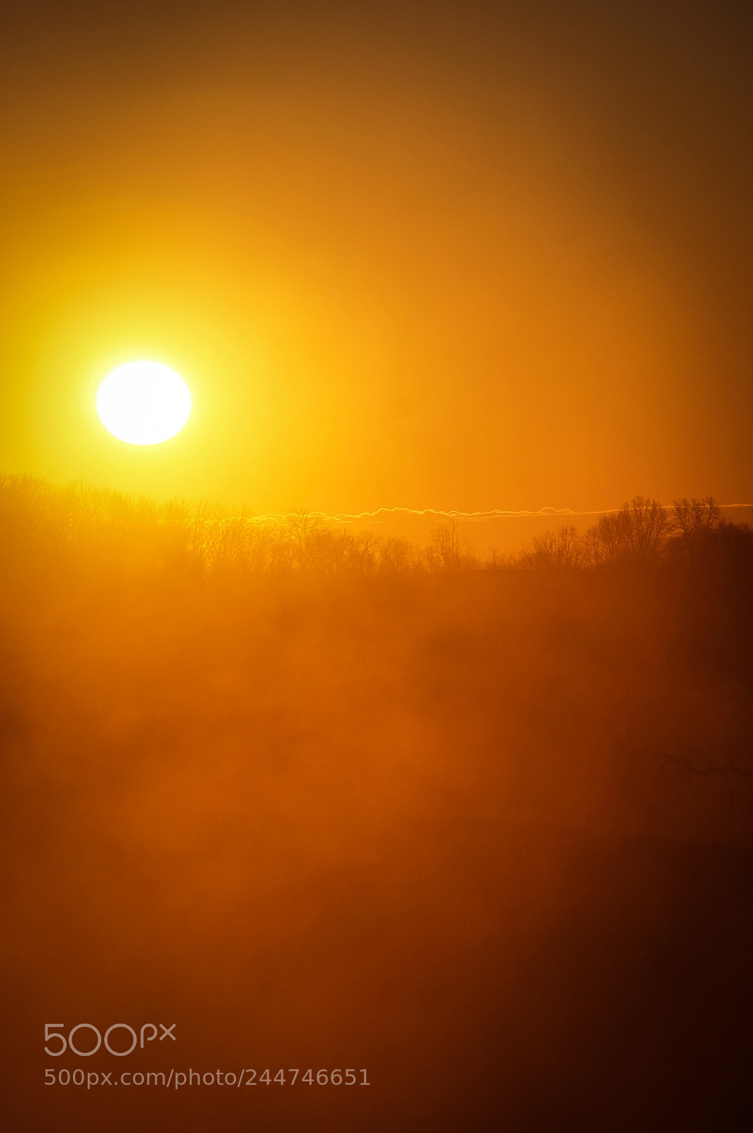 Sony SLT-A57 sample photo. Dusty sun photography