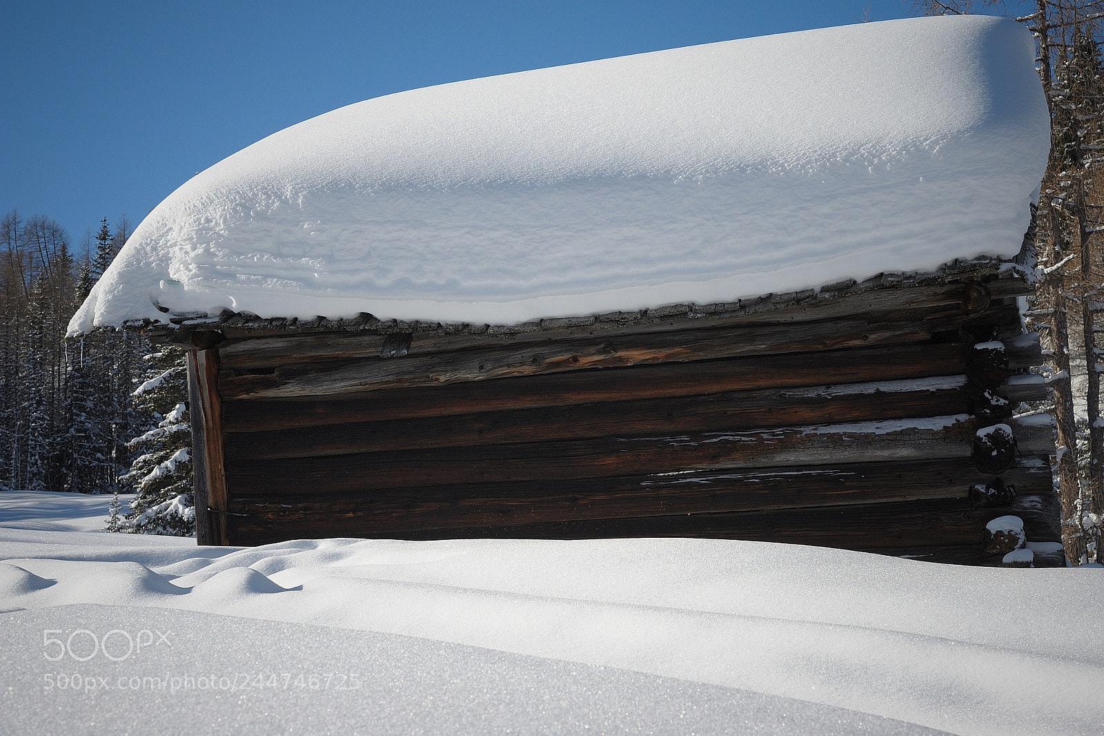 Nikon D700 sample photo. Hut under the snow..... photography