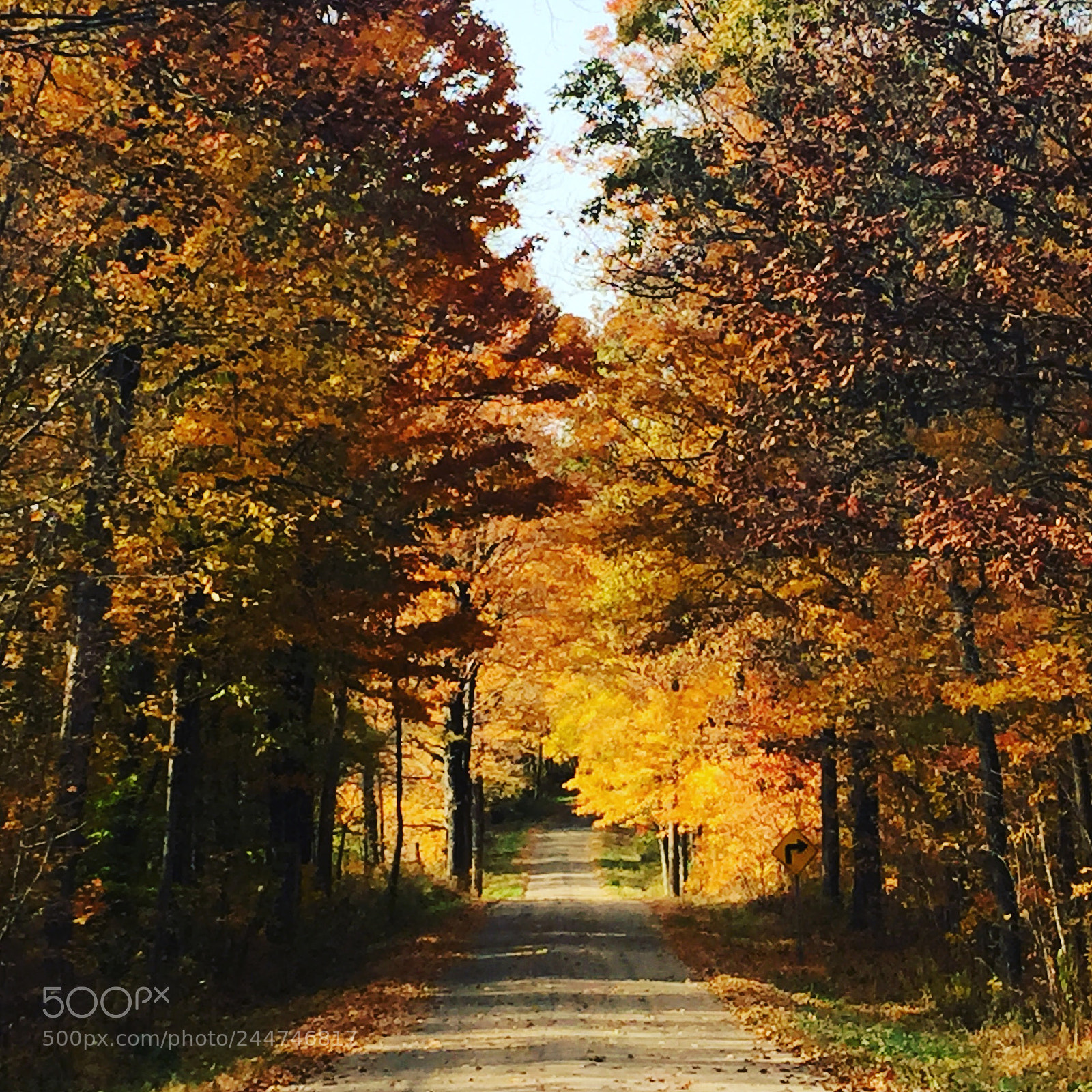 Apple iPhone 6 sample photo. Fall road photography