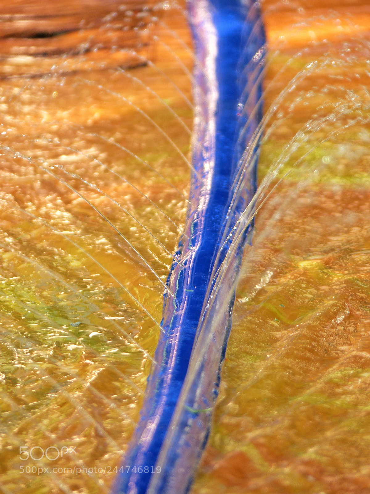 Panasonic Lumix DMC-FZ200 sample photo. Waterglide photography