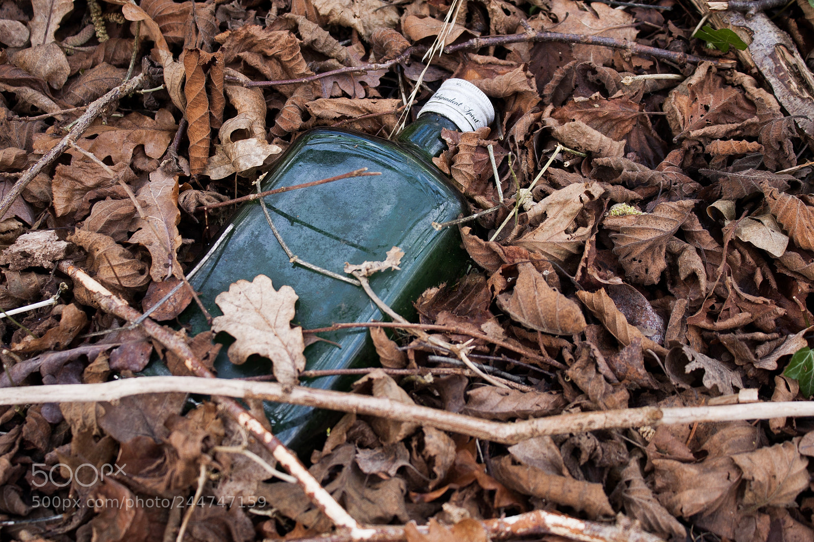 Canon EOS 40D sample photo. Litter is ugly !?...... photography