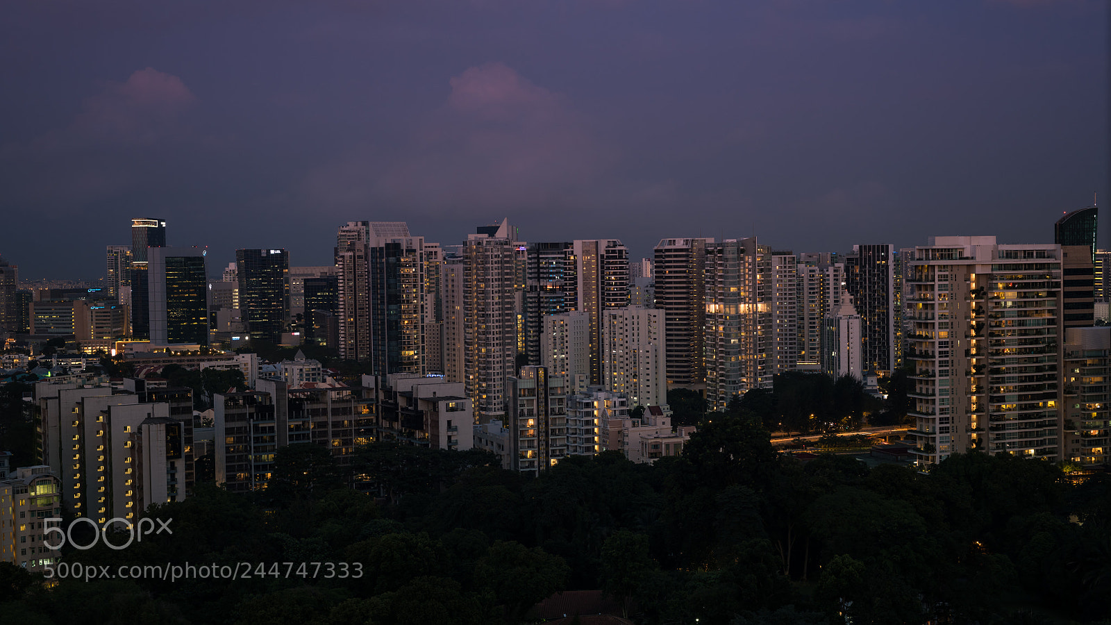 Nikon D850 sample photo. Every window has a photography