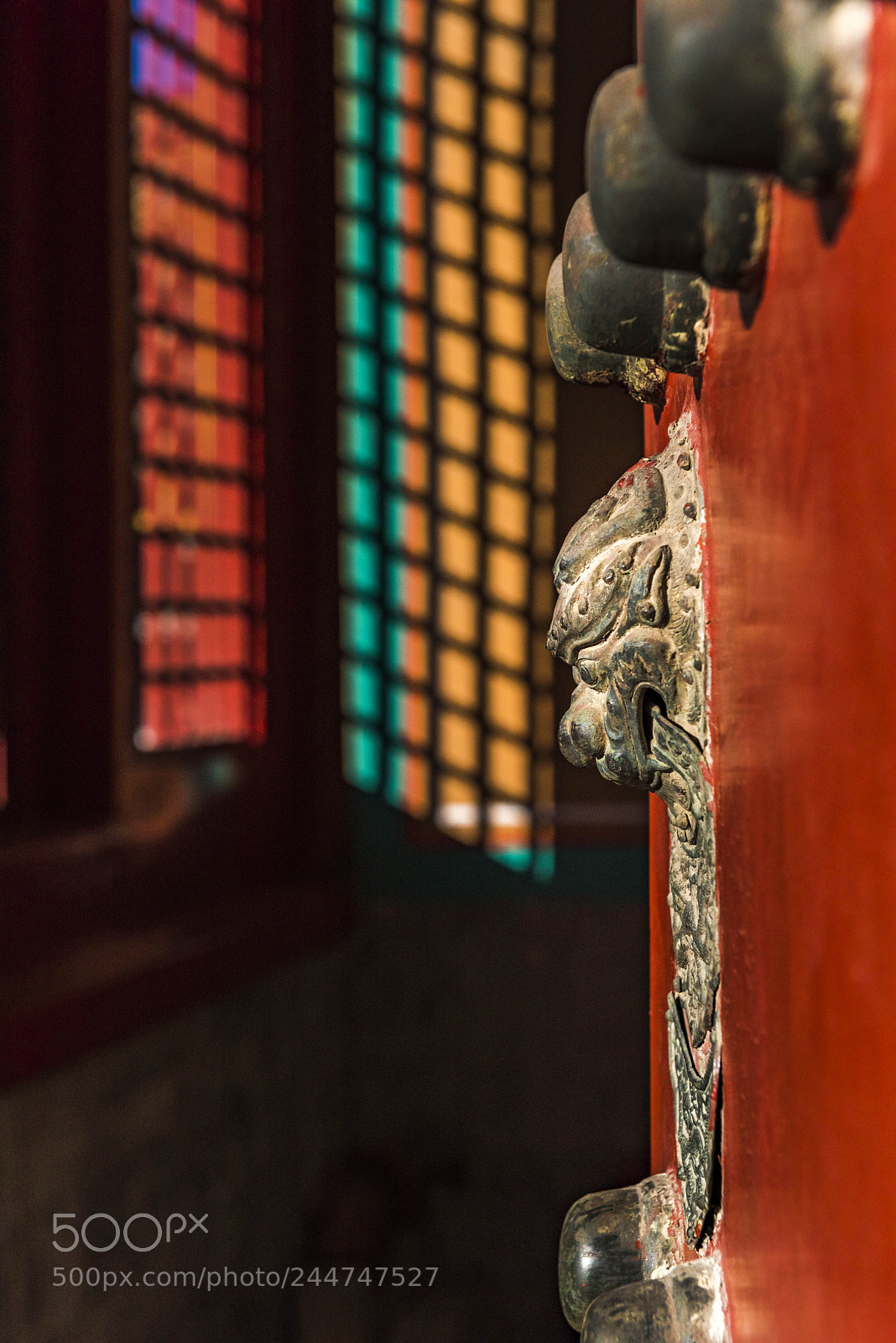 Nikon D810 sample photo. Untitled photography