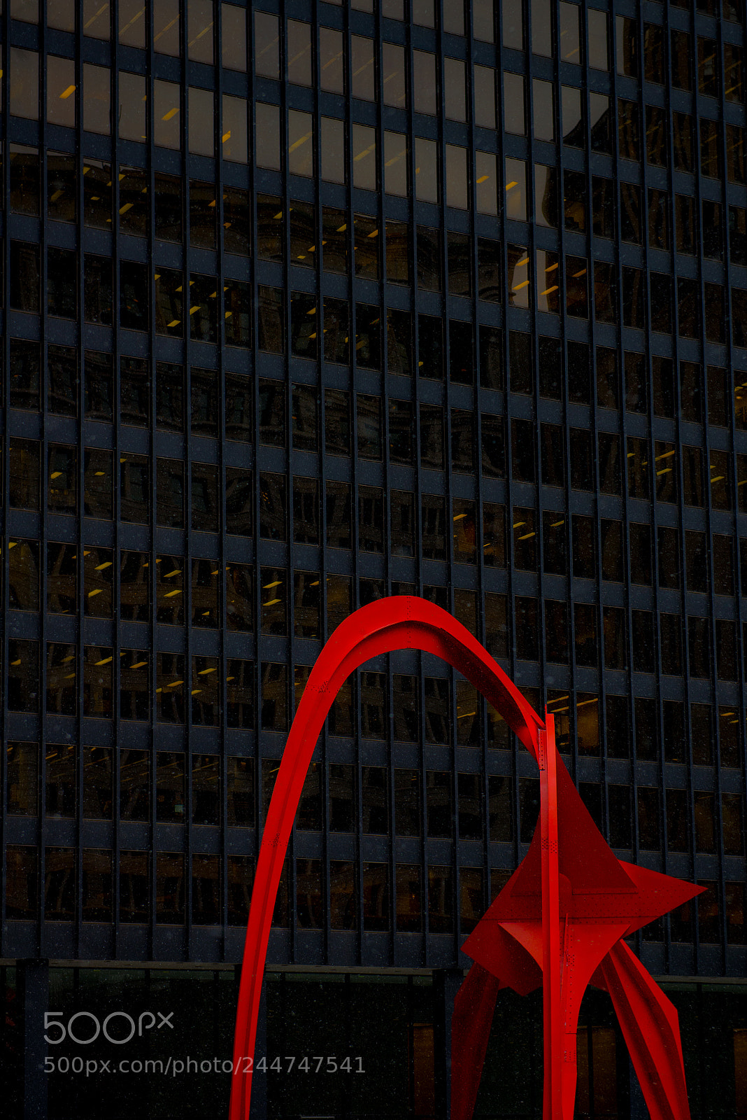 Nikon D610 sample photo. Red flamingo photography