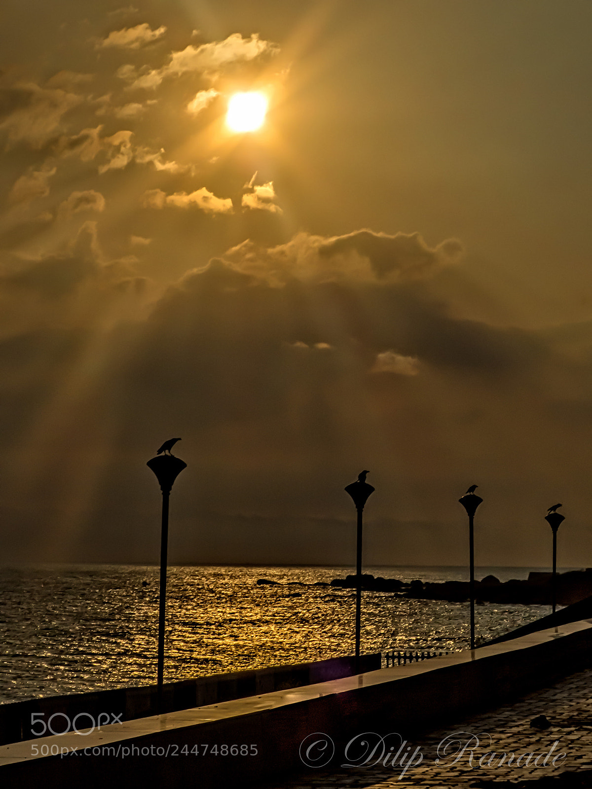 Panasonic Lumix DMC-FZ200 sample photo. Edit edit edit photography