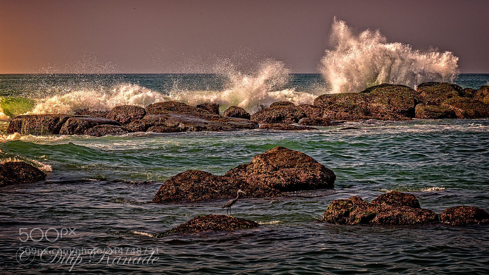 Nikon D800 sample photo. Edit photography