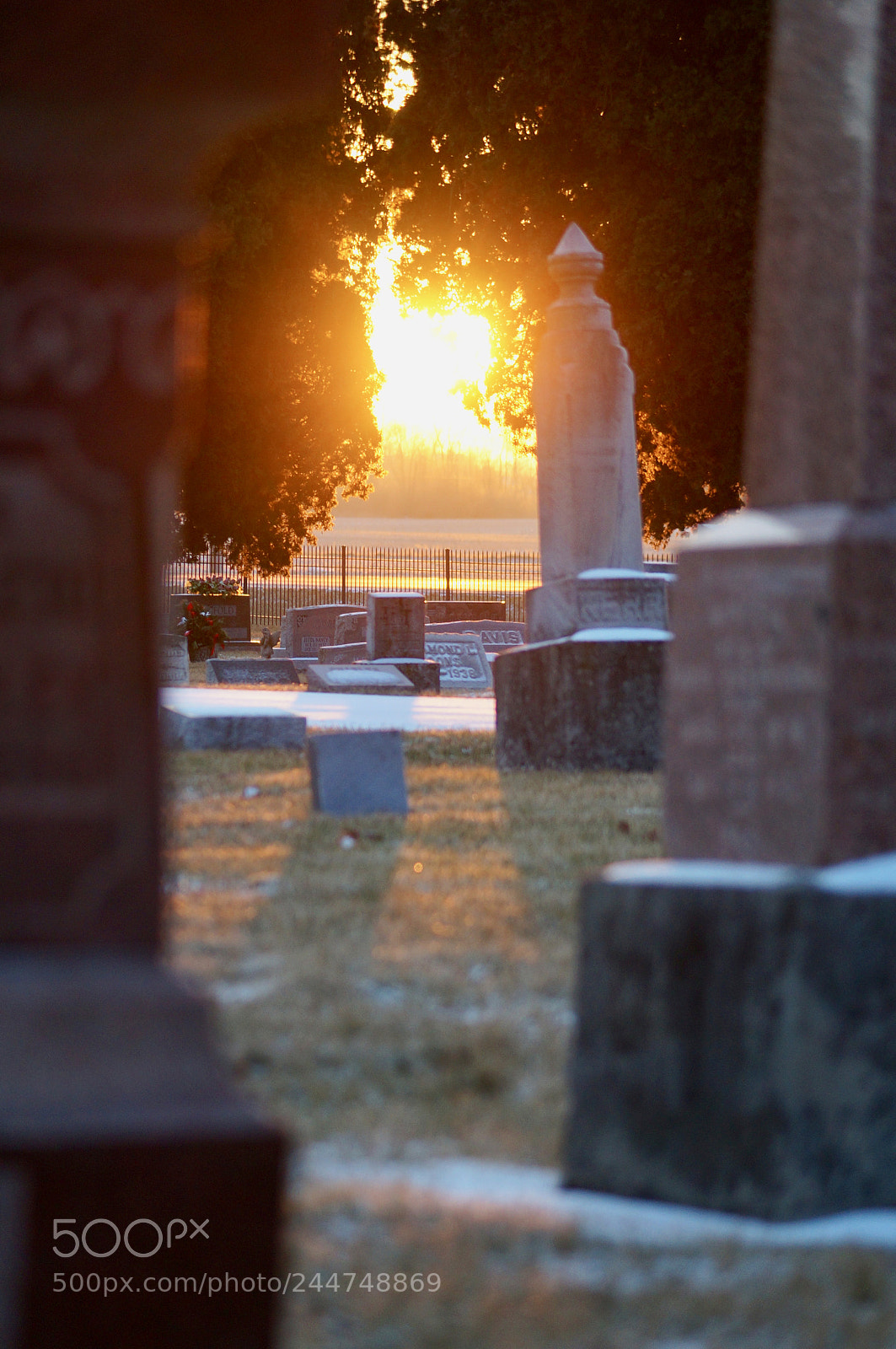 Sony SLT-A57 sample photo. Sun through the graves photography