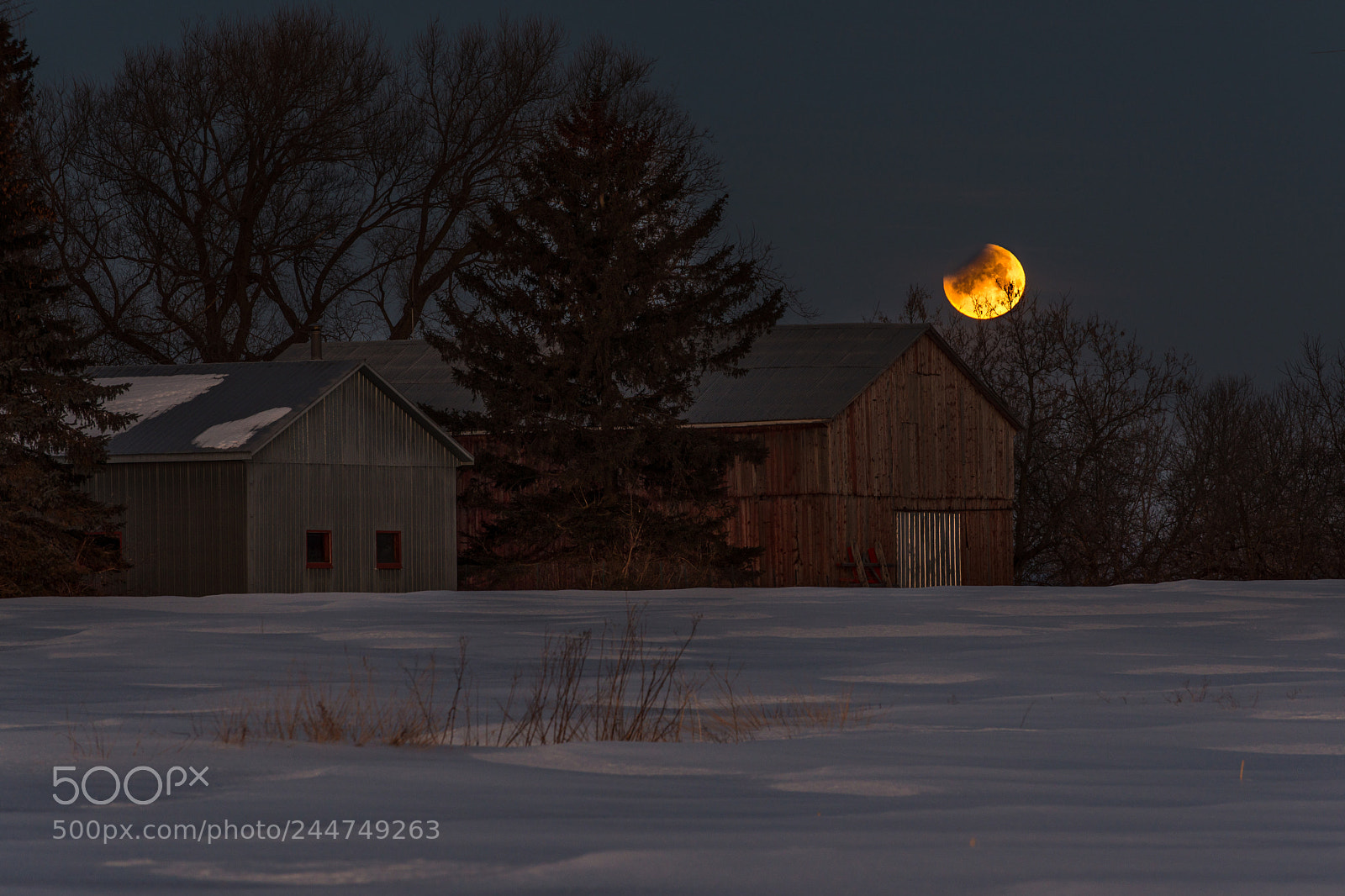 Nikon D800 sample photo. Super lune photography