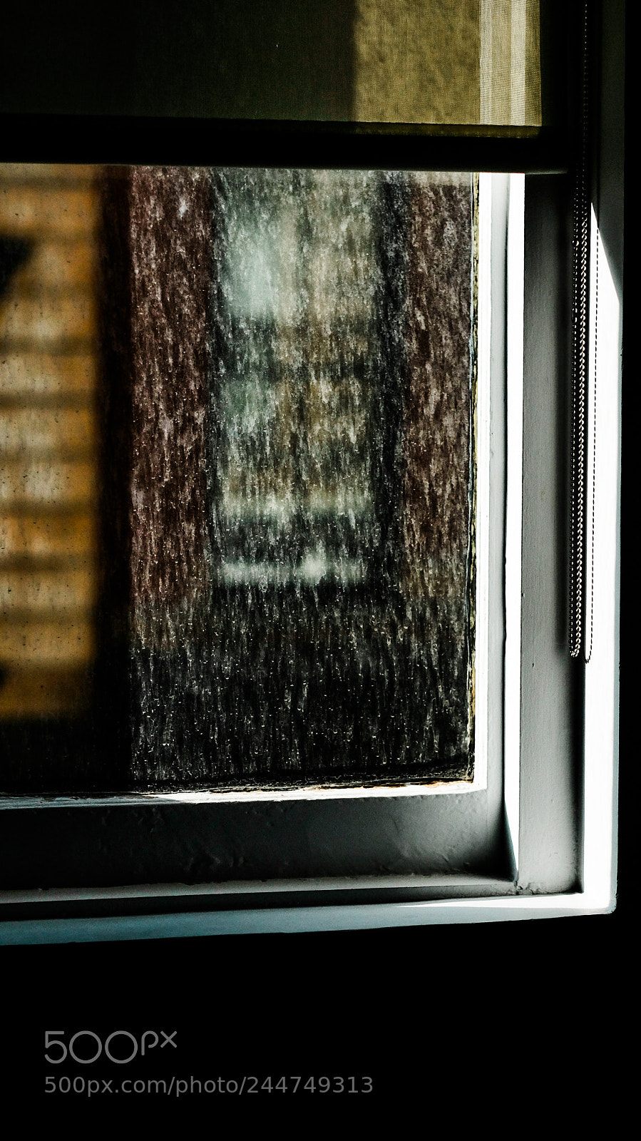 Fujifilm X-T2 sample photo. Years vs elements photography