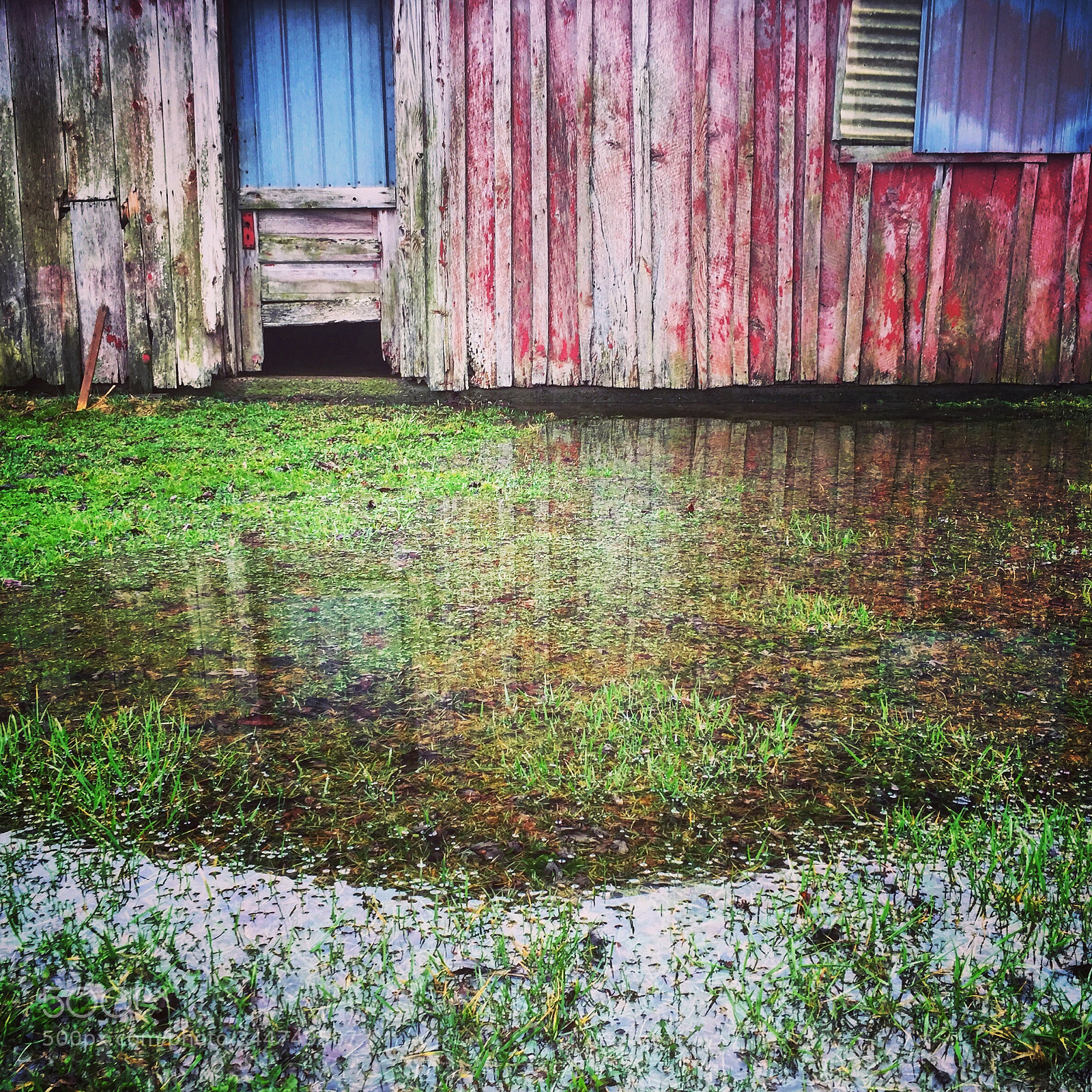 Apple iPhone 6 sample photo. Wet reflection photography