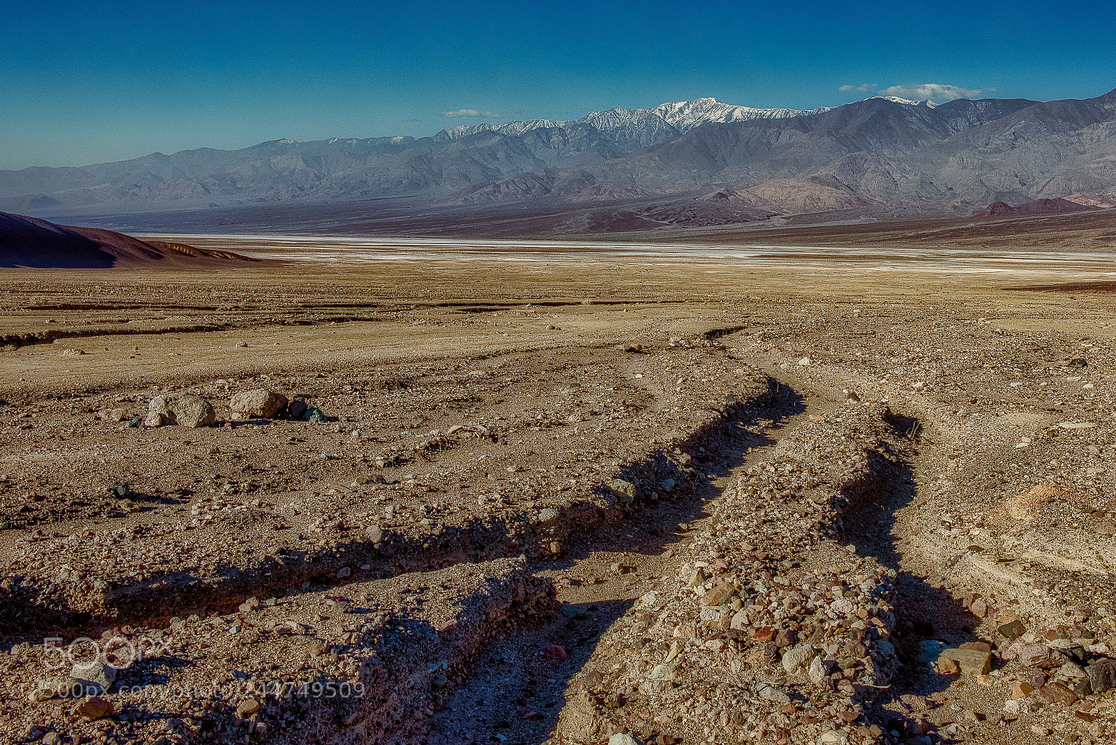 Nikon D600 sample photo. Barren landscape photography