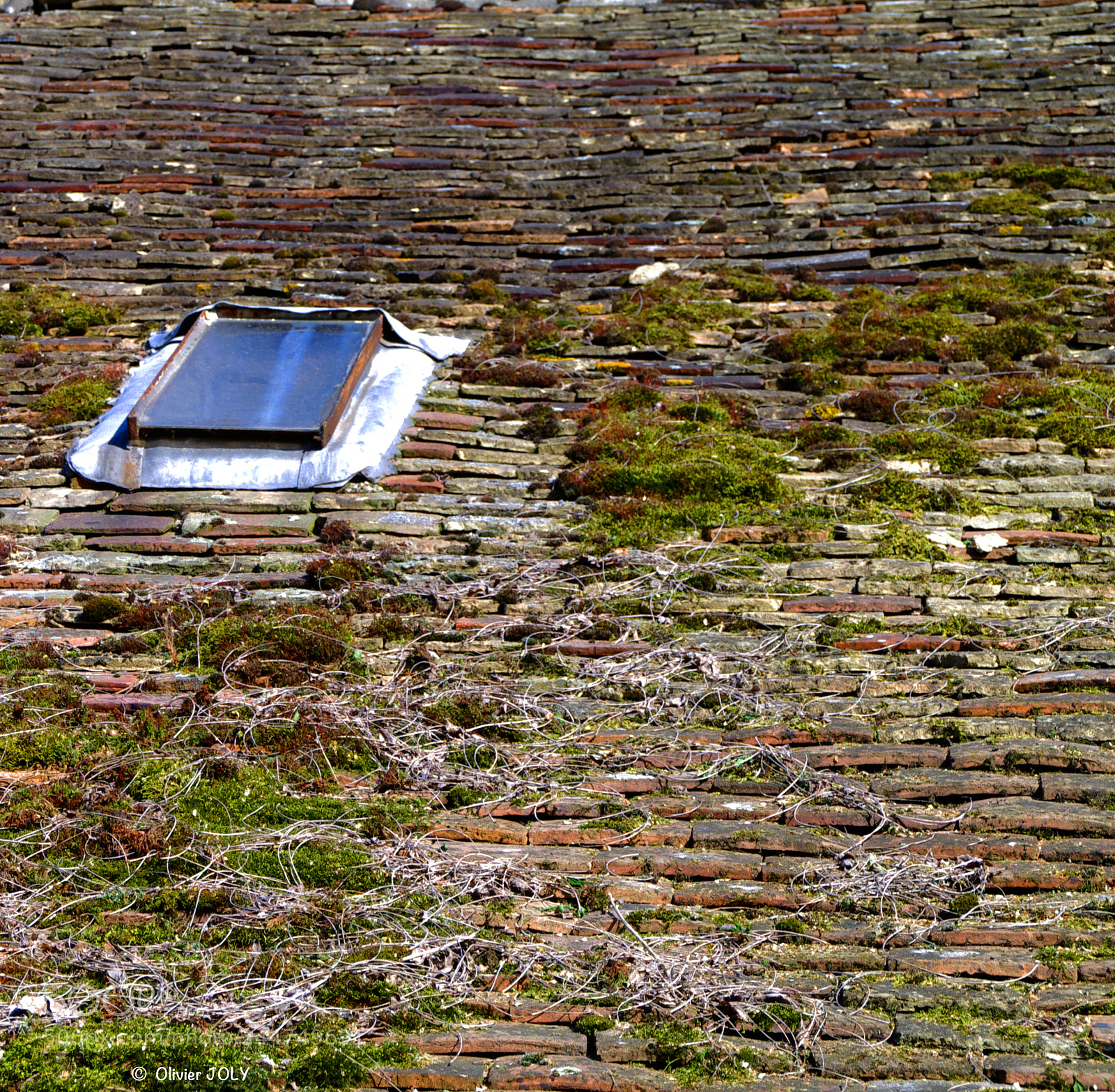 Pentax K-7 sample photo. Vieux toit photography