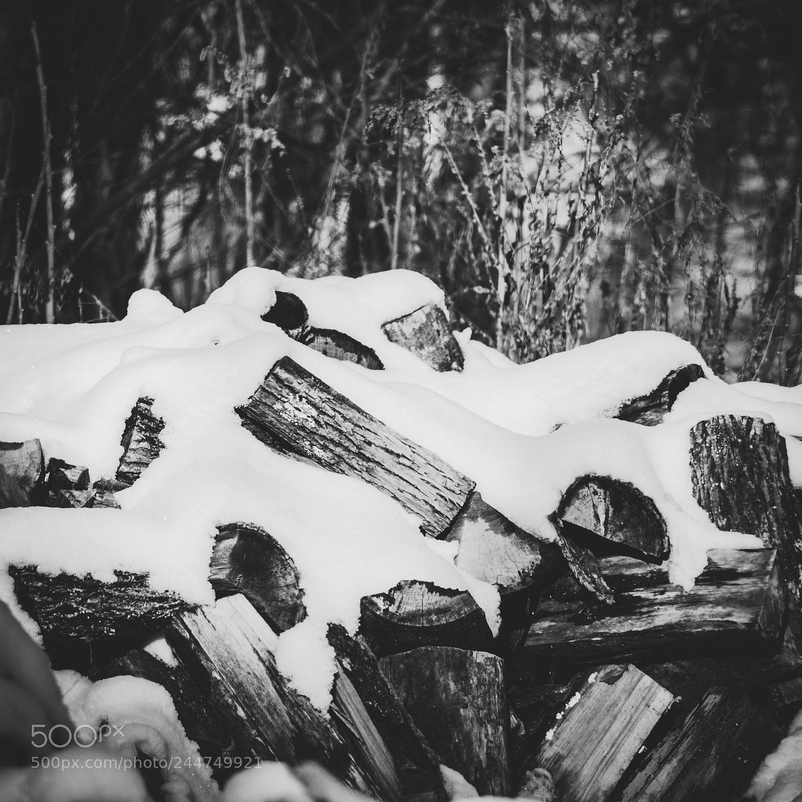 Sony SLT-A57 sample photo. Wood pile photography
