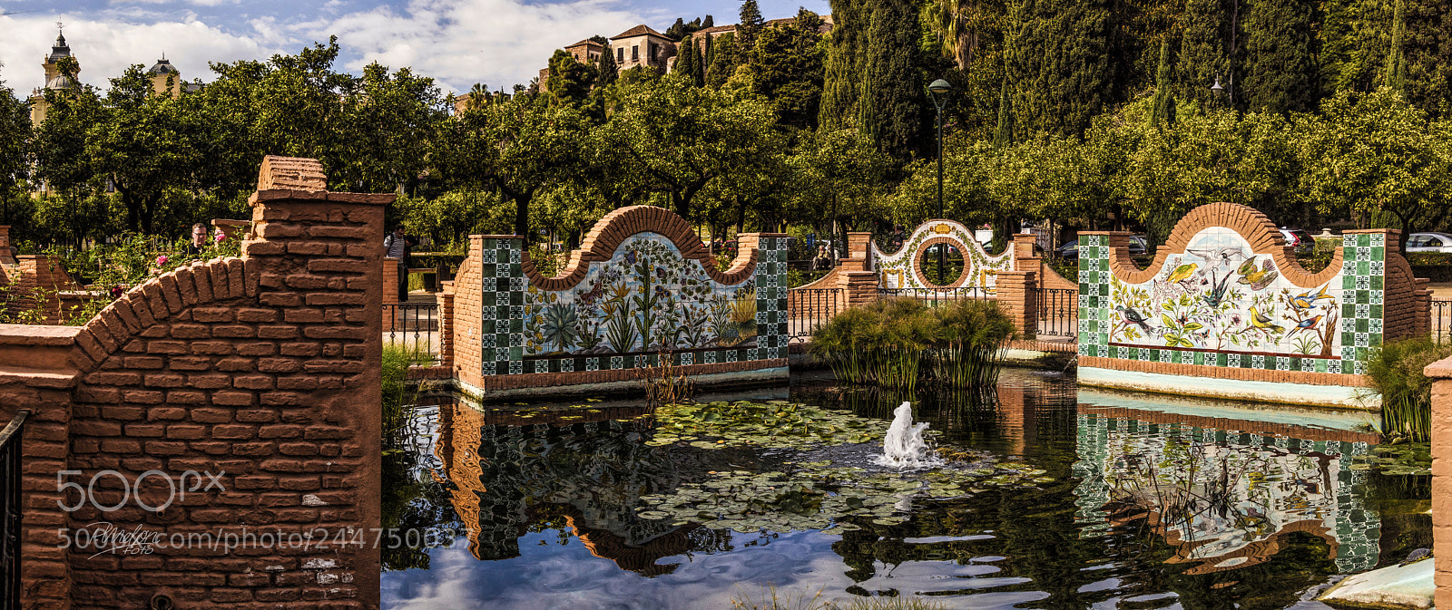 Sony SLT-A68 sample photo. Jardines de pedro luis photography