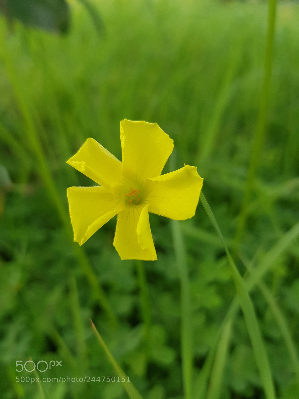 Samsung Galaxy S8 sample photo. Untitled photography