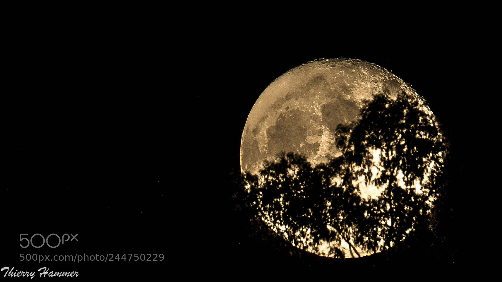Nikon D500 sample photo. La grosse lune photography