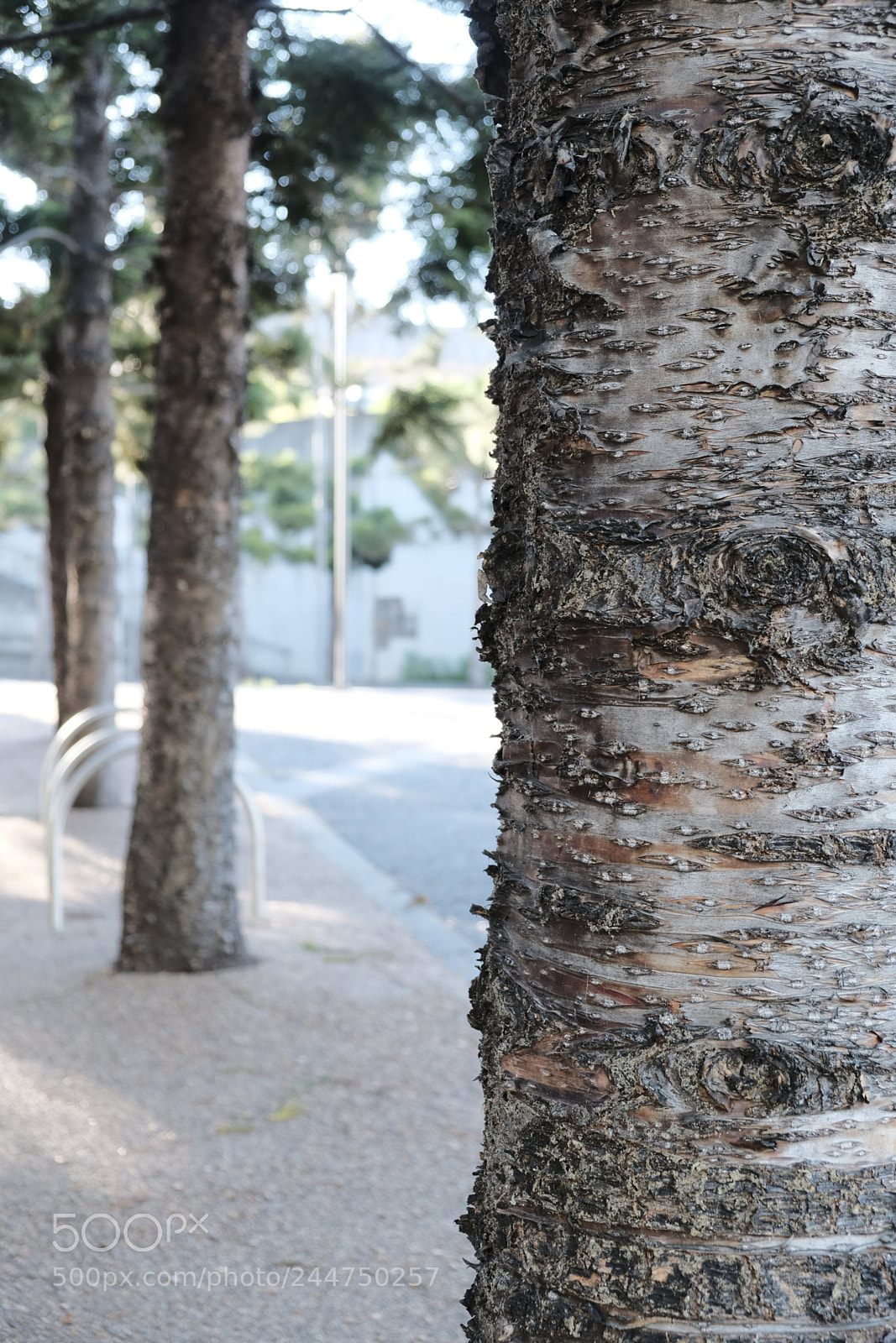 Fujifilm X-T20 sample photo. Untitled photography