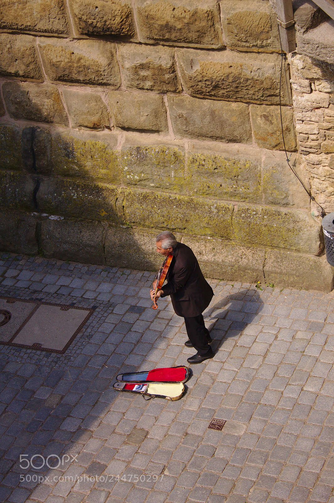 Canon EOS 1100D (EOS Rebel T3 / EOS Kiss X50) sample photo. Violin photography