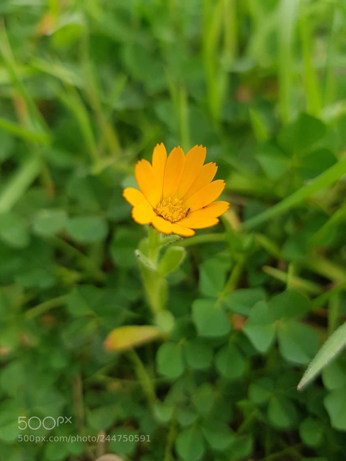 Samsung Galaxy S8 sample photo. Untitled photography
